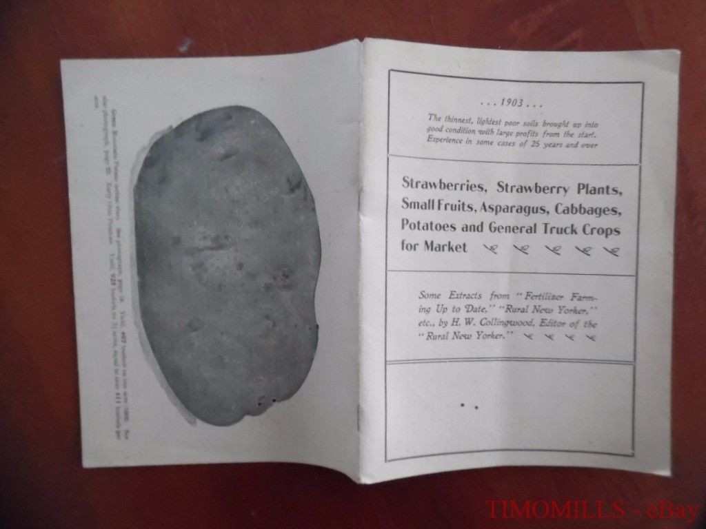 1903 Mapes Peruvian Guano Fertilizer Vegetable Market Garden Catalog Brochure