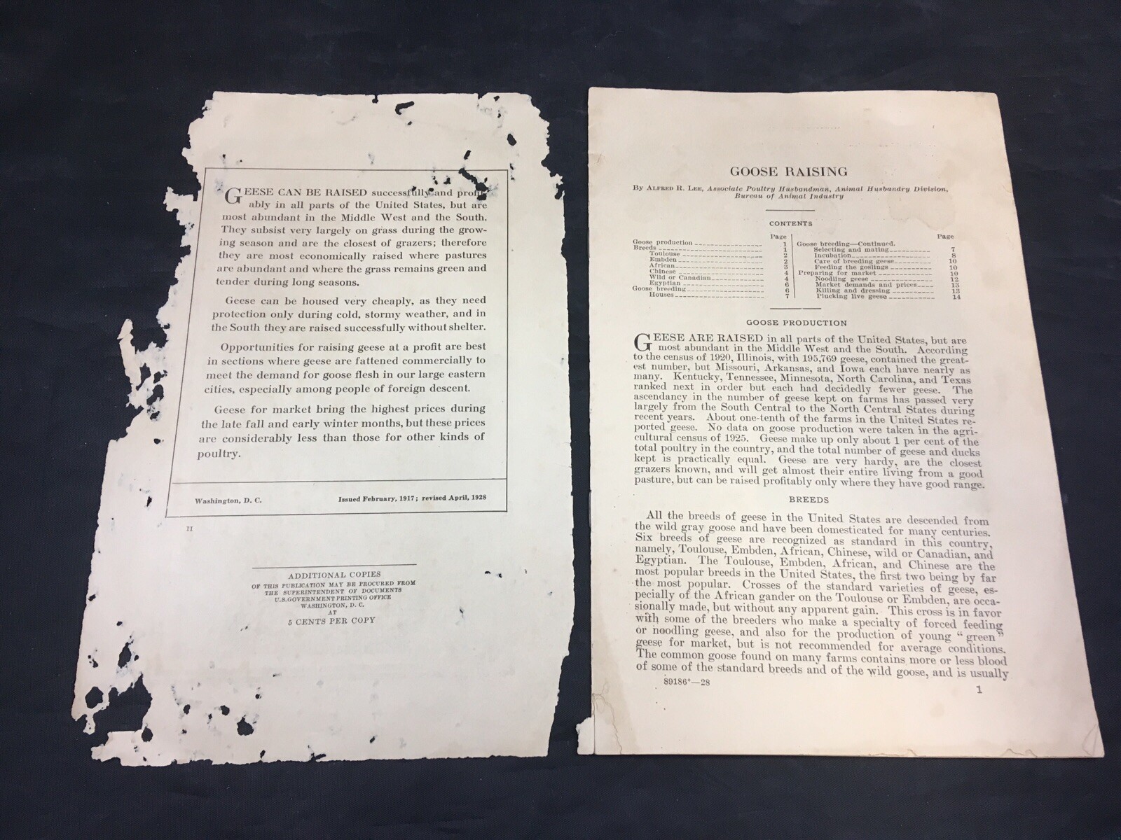 Goose Raising US Department of Agriculture Farmers Bulletin 767