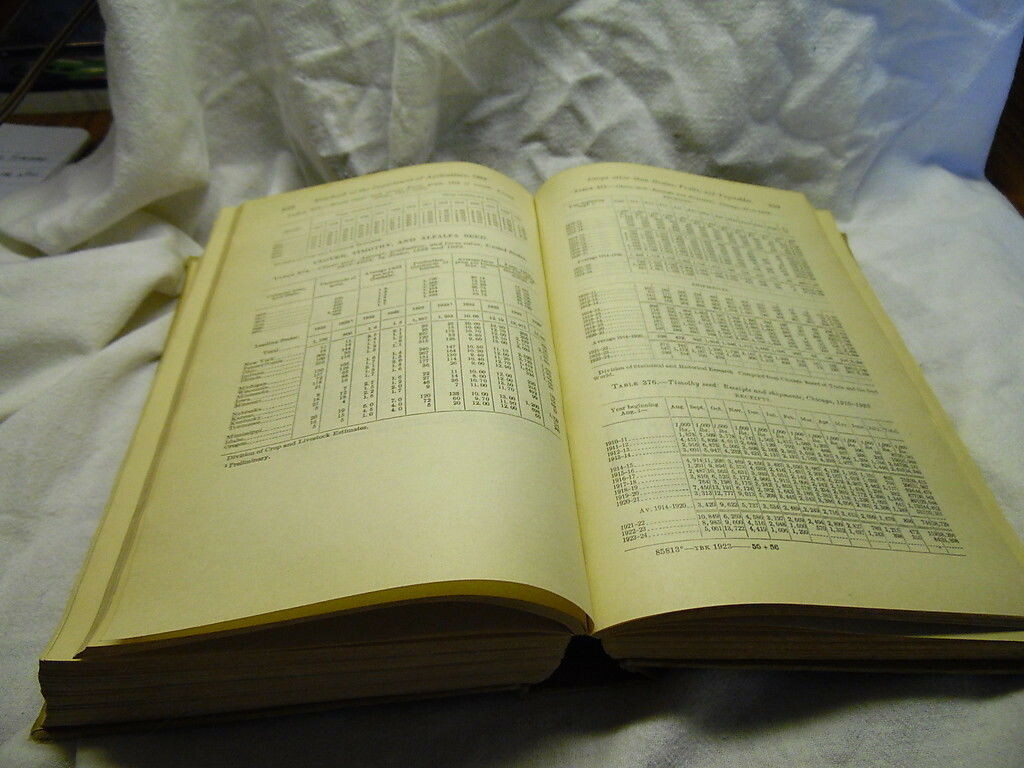 Vintage 1923 USDA Agriculture Yearbook Farming Charts Government Statistics