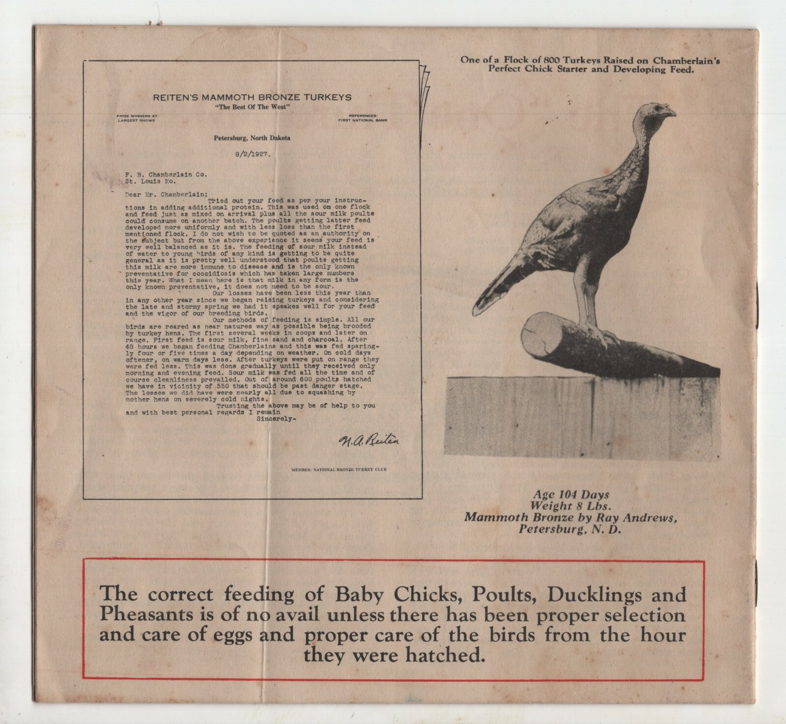 1928 Chamberlain’s Chick Starter Booklet – Haug Department Stores, Spillville IA