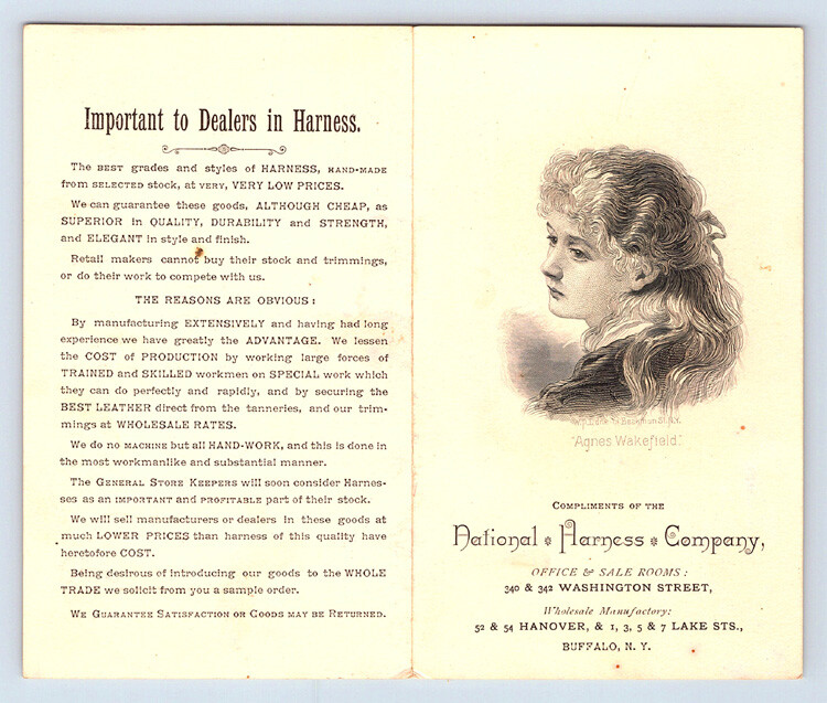 1800’s Antique NATIONAL HARNESS Victorian PRICE LIST Trade Card BUFFALO NEW YORK
