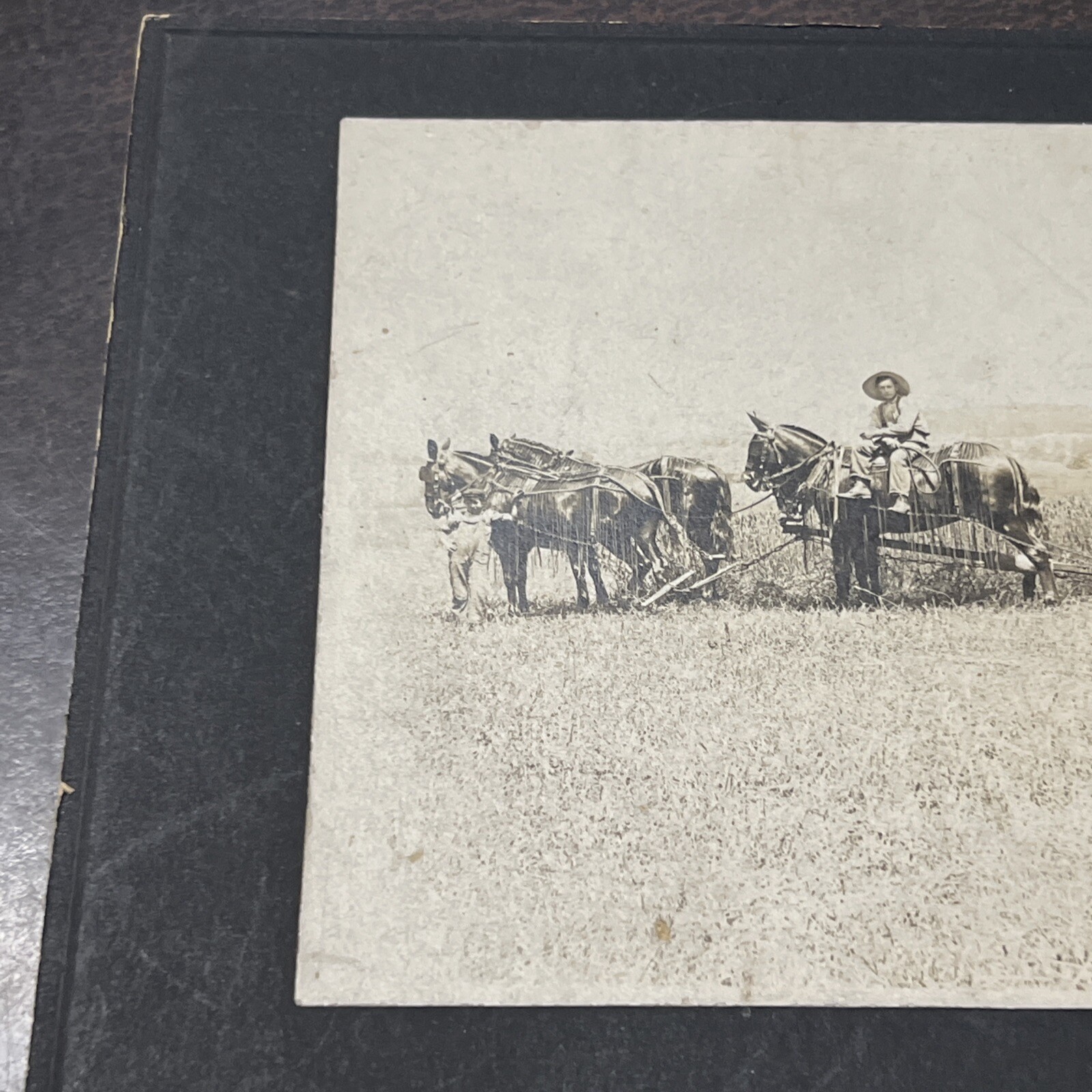 Vintage 1800s Farming Farm Implement Photograph