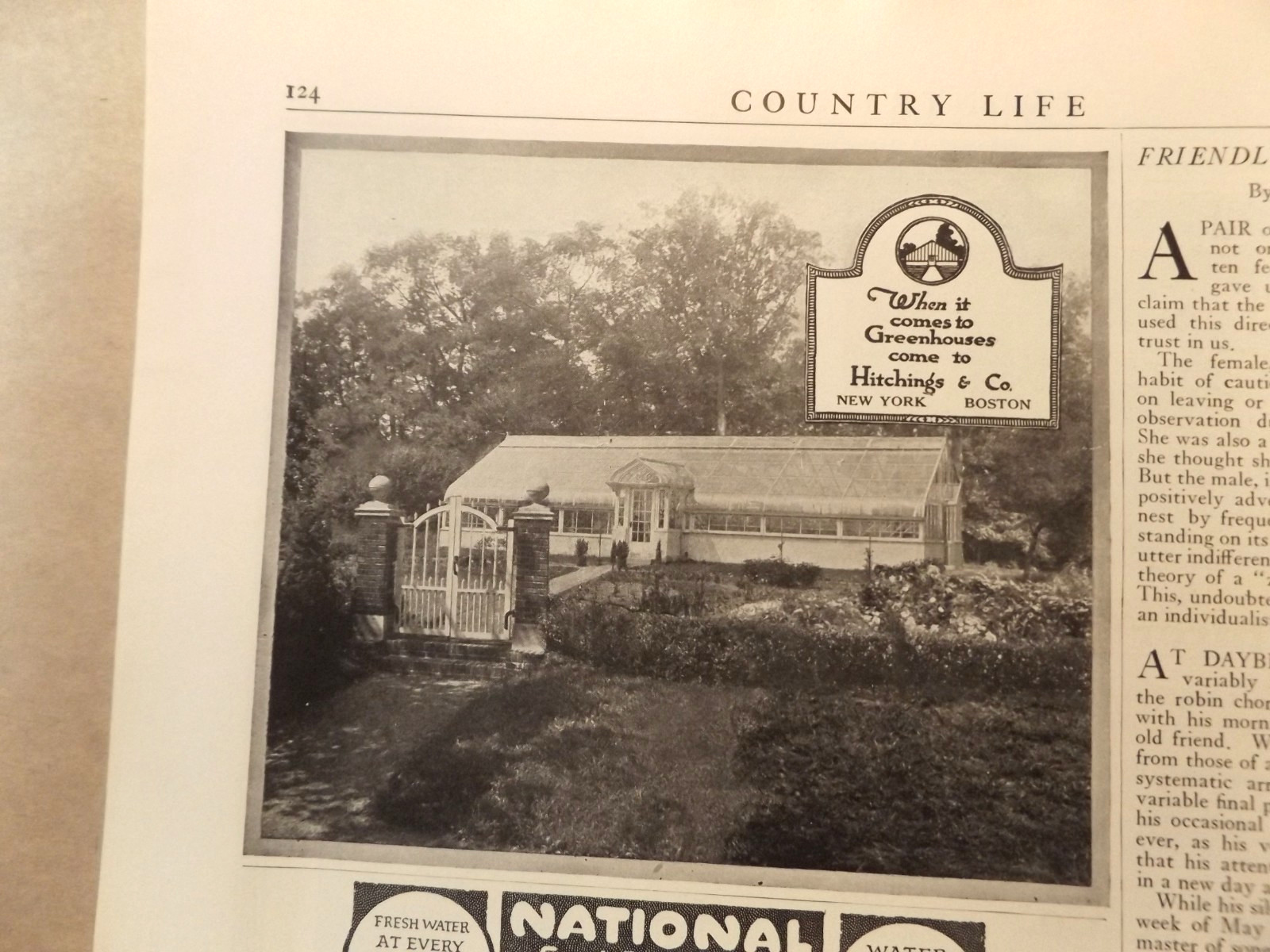 Hitchings & Co 1919 Greenhouse – Hot House == Print Ad == Free Postage USA