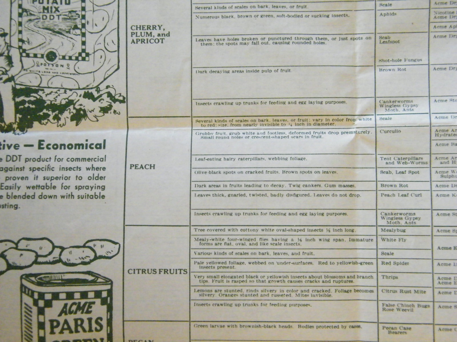 Vintage 1960’s-70’s Acme Spraying Dusting Guide For Gardens & Lawns Brochure
