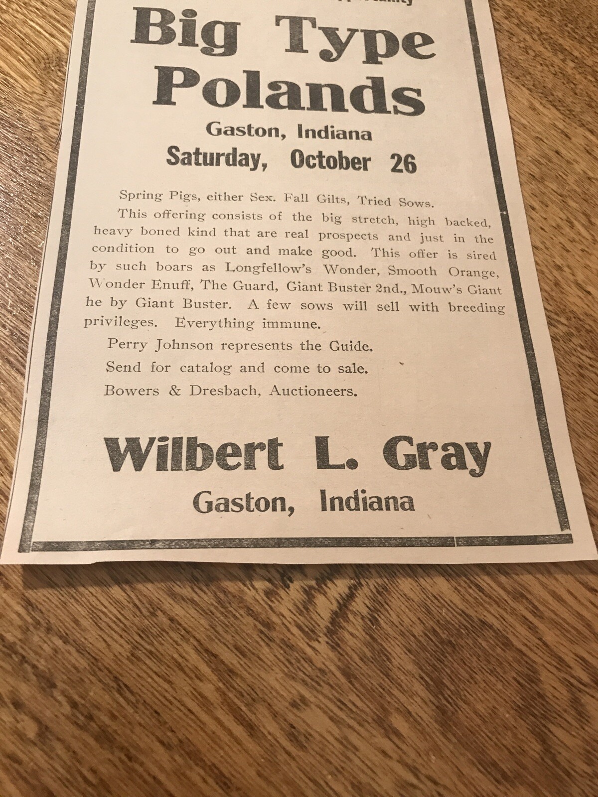 ORIGINAL 1918 Sow Public Sale – Gaston – Indiana – Farm Advertising – Hog Pig
