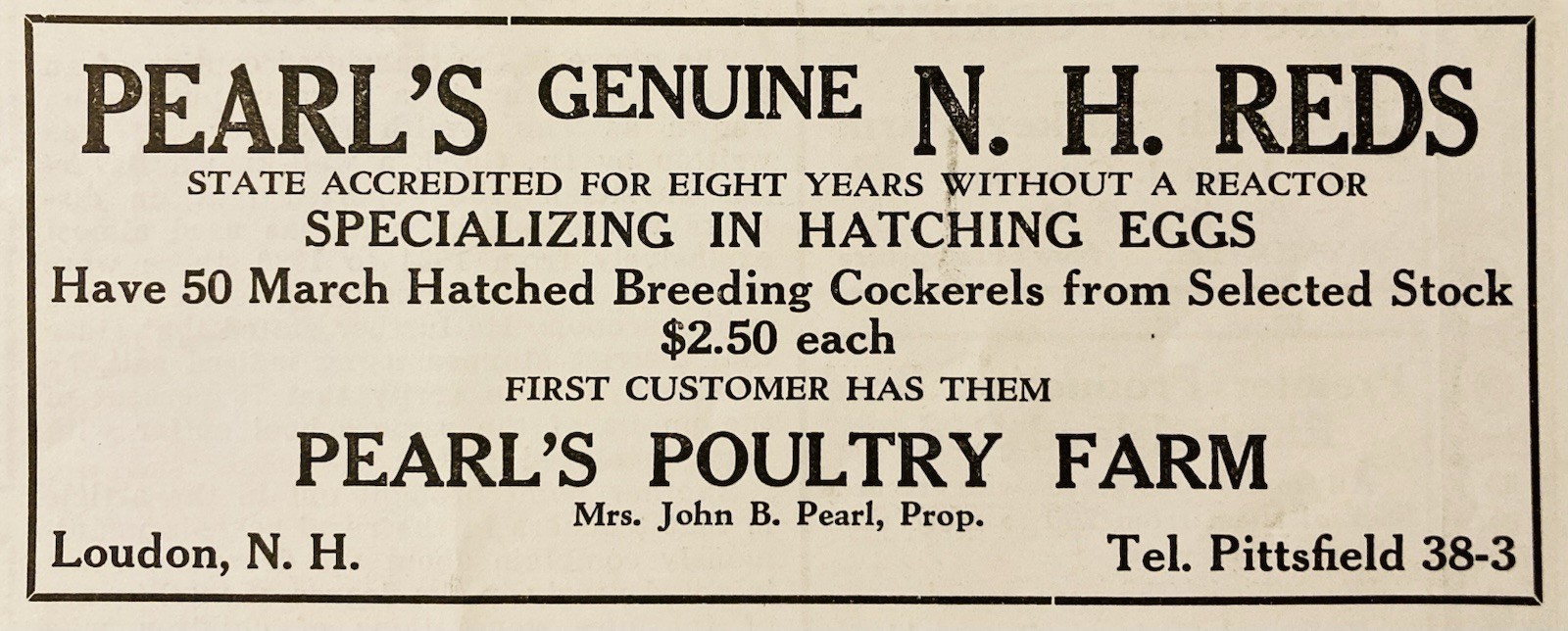 1934 AD.(XH82)~PEARL’S POULTRY FARM, LOUDON, NH. GENUINE N.H. REDS