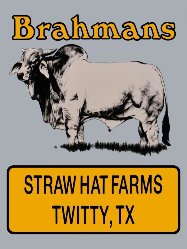 Brahman Bulls, Straw Hat Farm Twitty Texas NEW METAL SIGN: 9×12″ & Free Shipping