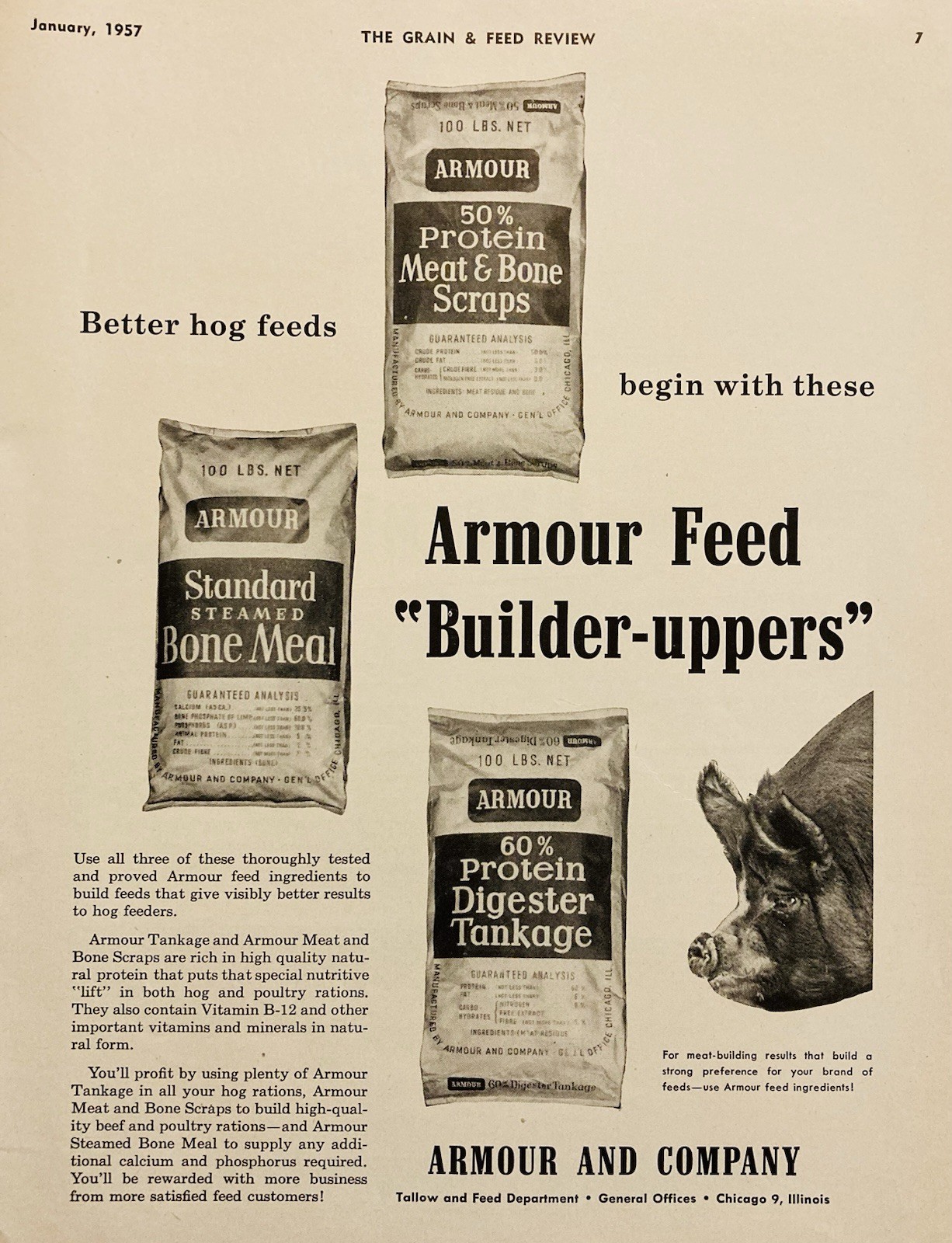 1957 AD.(XH84)~ARMOUR CO. CHICAGO. ARMOUR BONE MEAL HOG FEED