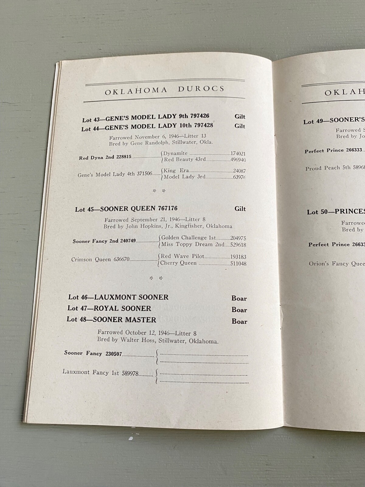 Vintage Durocs Hogs Pig Sale Catalog Book Oklahoma City OK 1947 Farm Ag Ephemera