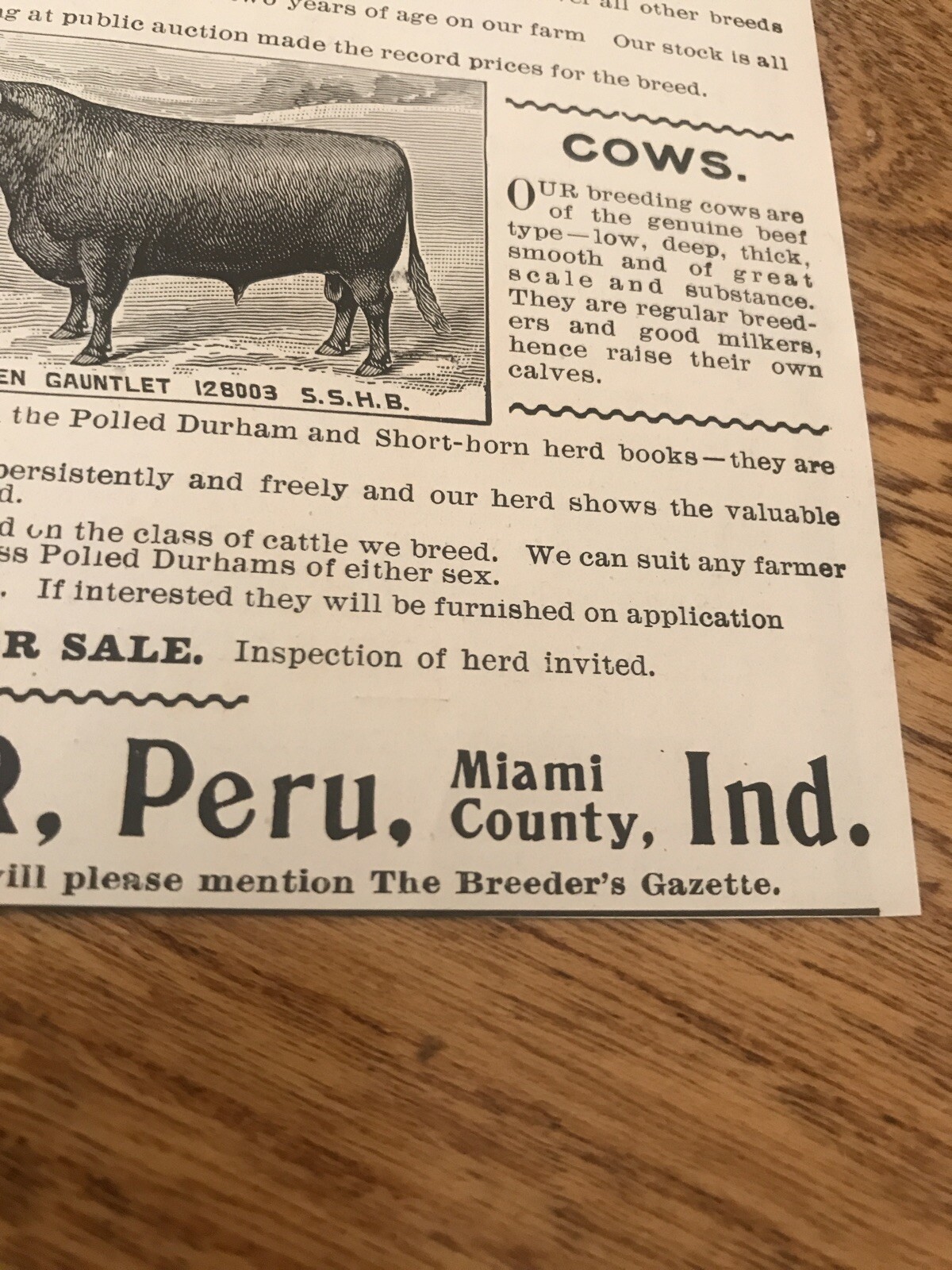 1903 J.H. Miller Cattle Cow Advertising – Peru – Indiana
