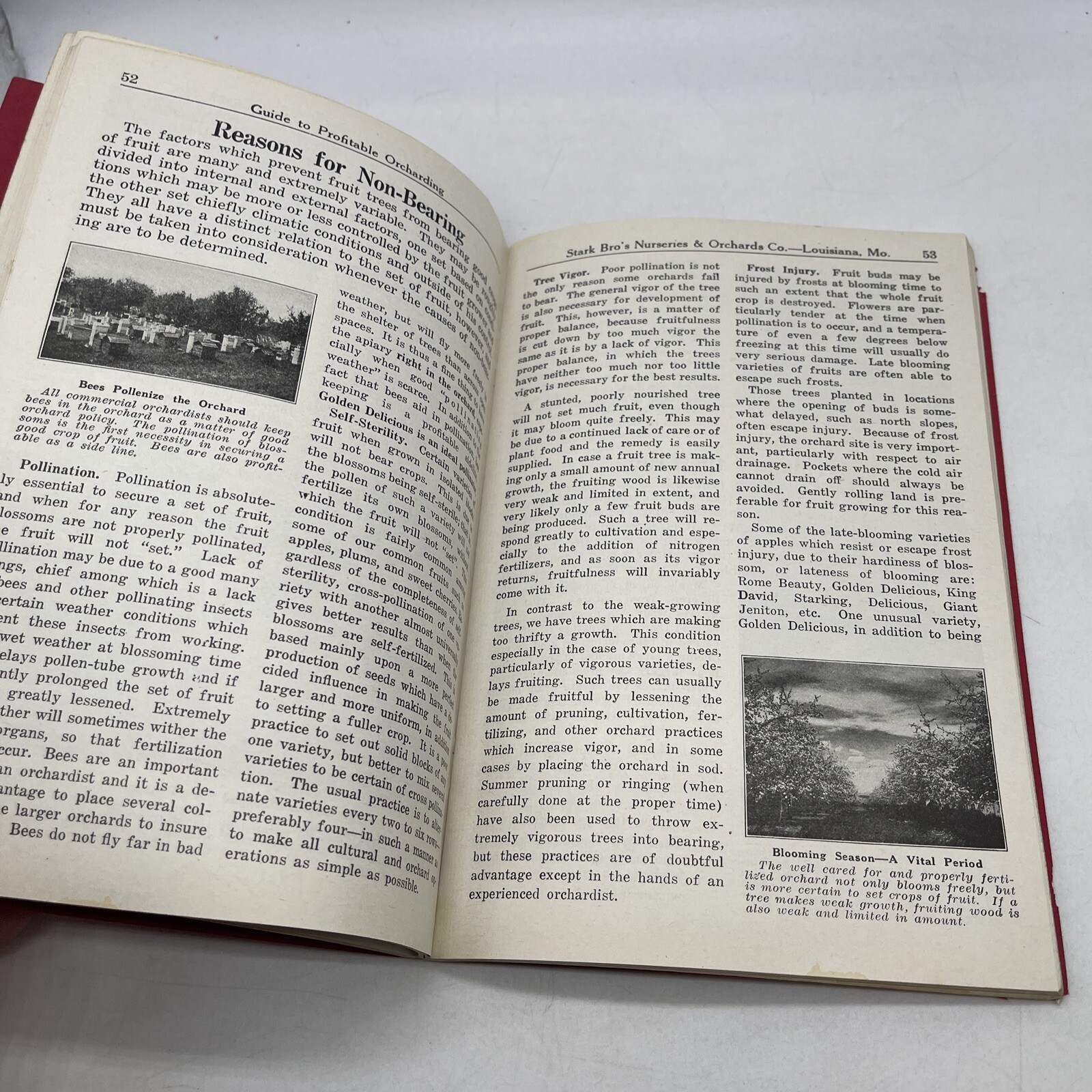 1928 Stark Bro’s Guide to Profitable Orcharding 128 Pages of Info and Pictures