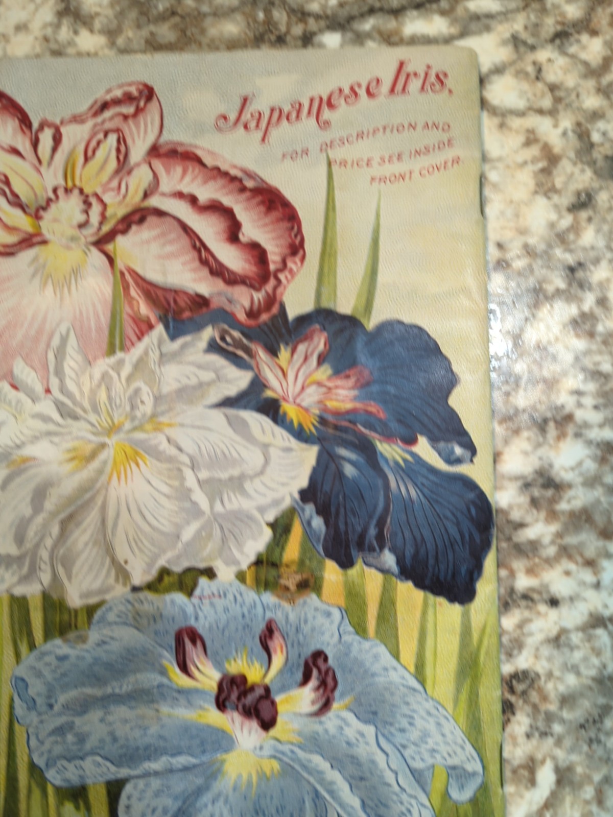 1910 The Woman Florist, Miss Ella V Baines Spring Illustrated Catalogue