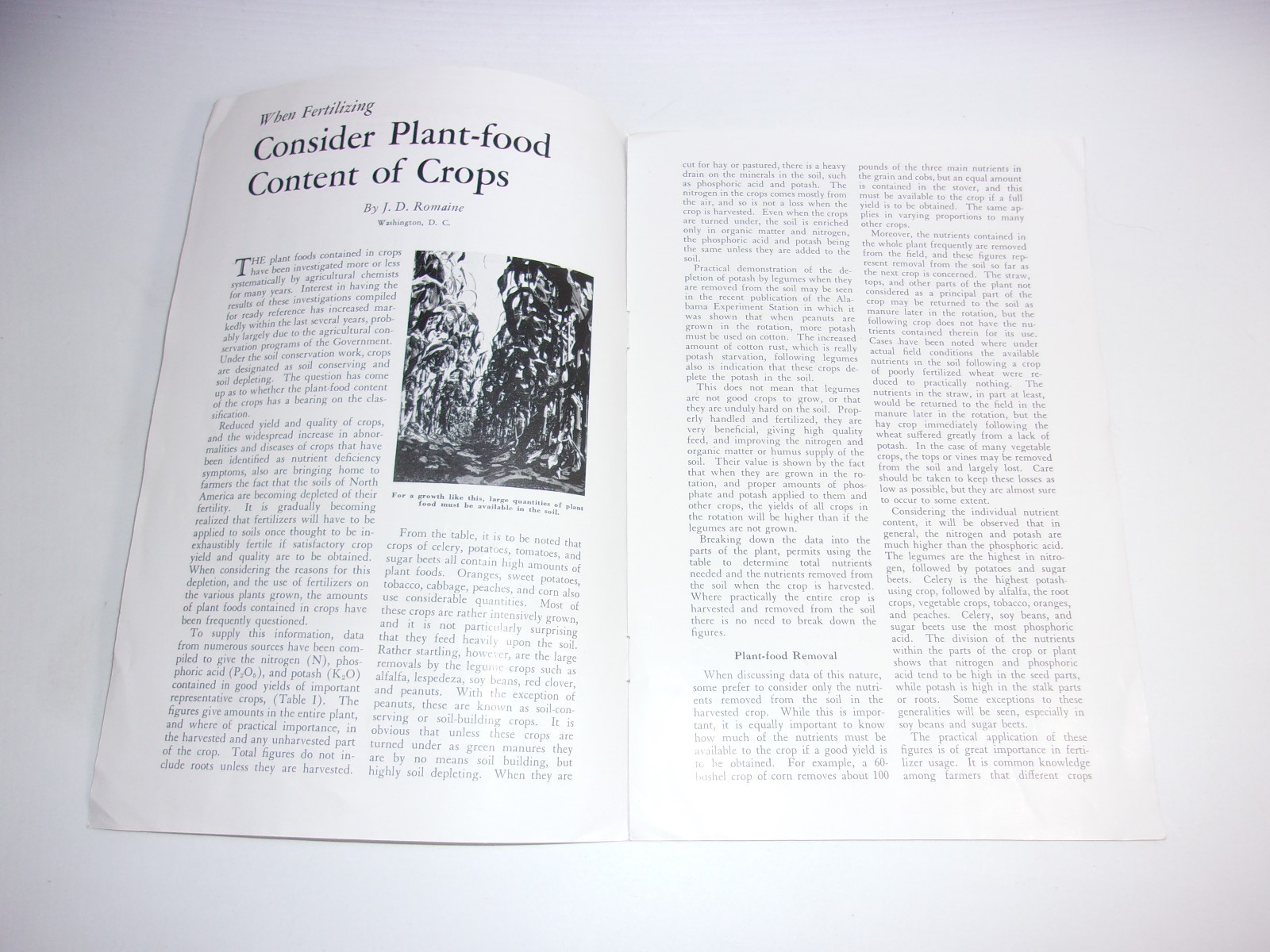 1930’s Vintage Farming Crops Booklet Fertilizing Agriculture Farm