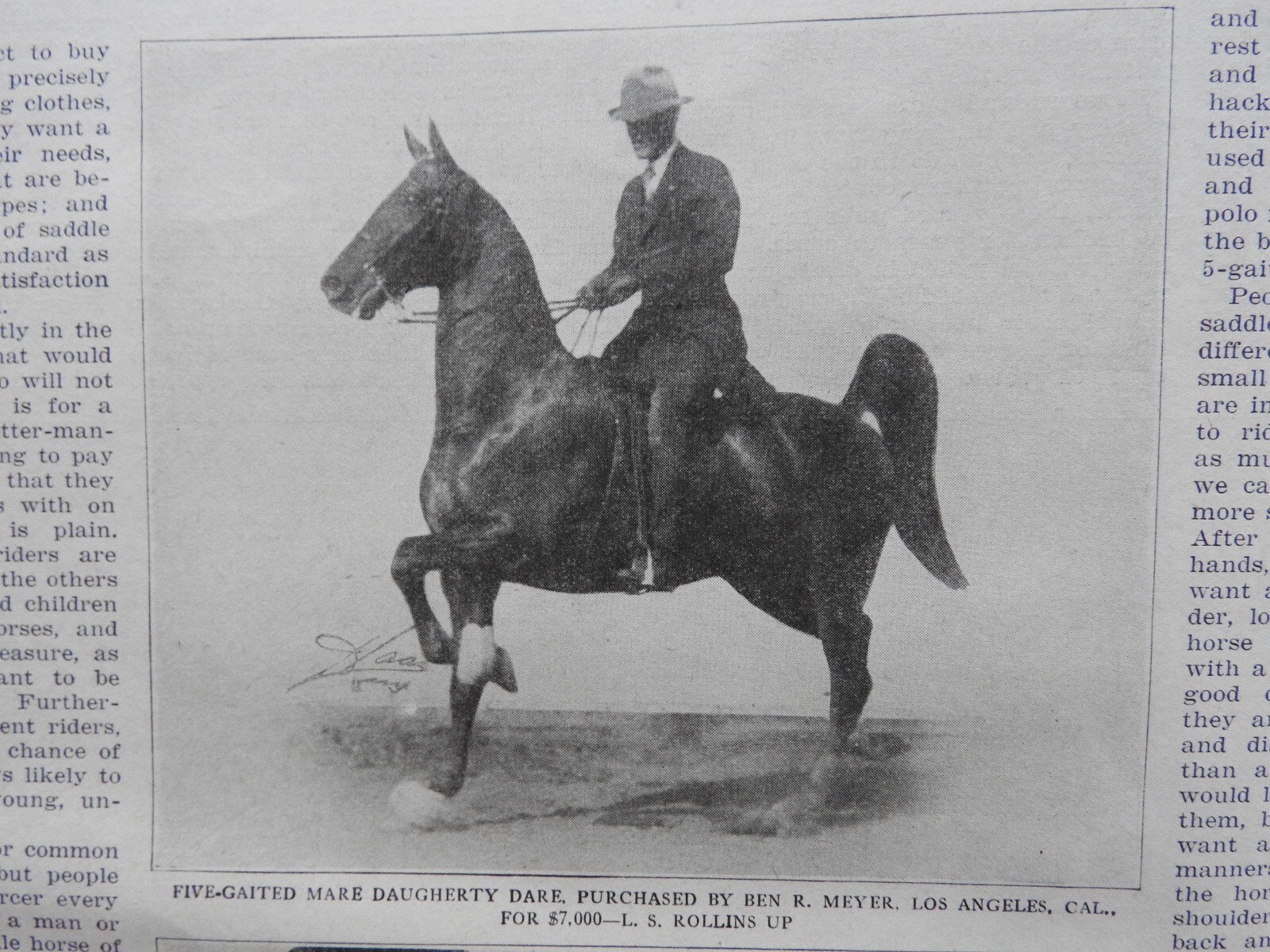 1925 Breeder’s Gazette Magazine – cattle rancher farmer horse show VERY GOOD
