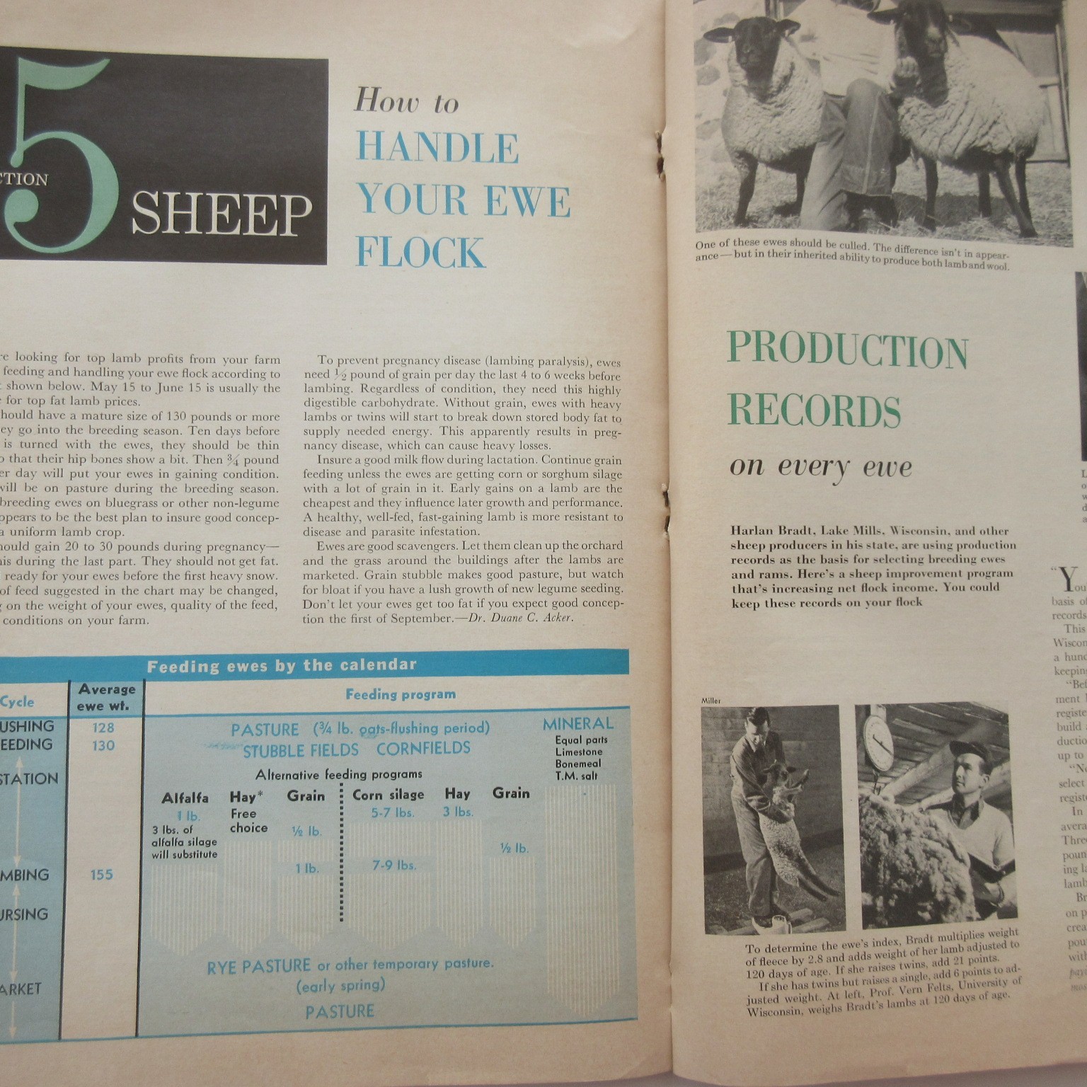 Vintage 1959 Successful Farming’s Livestock Book Beef Hogs Dairy Poultry Sheep
