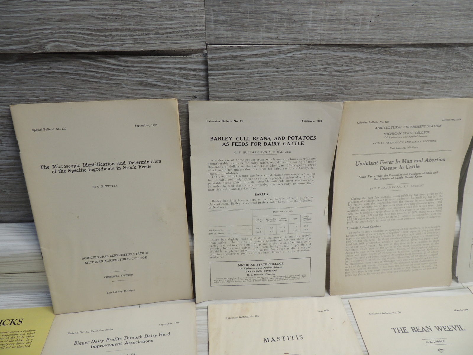 Lg Lot of Michigan State & USDA Bulletins 1920s-1930’s Plus Happy Chick Brochure
