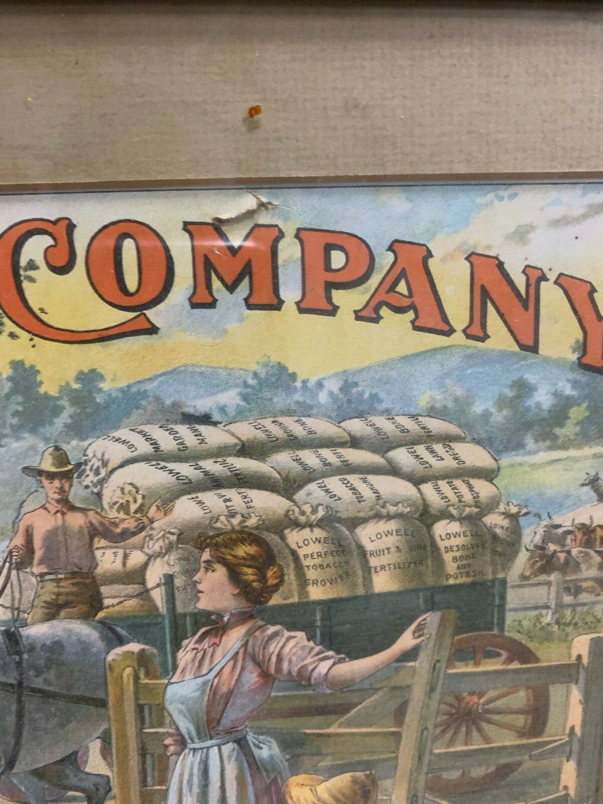 Rare Vintage Lowell Fertilizer Co. Litho Framed Sign FARM GAS OIL SODA COLA 17″