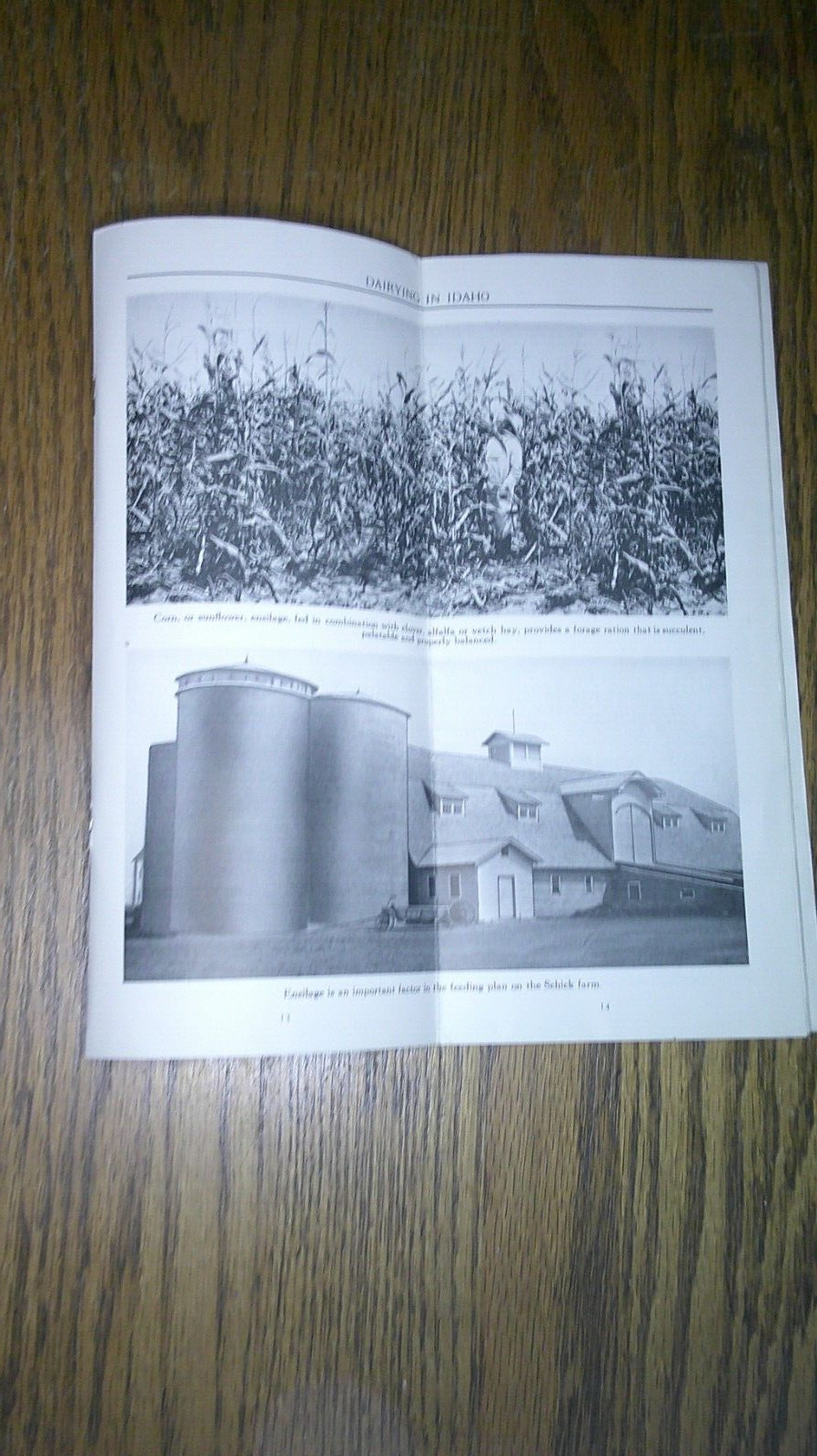vintage pamphlet for Dairy farming in Idaho for the year 1922 Union Pacific 7C
