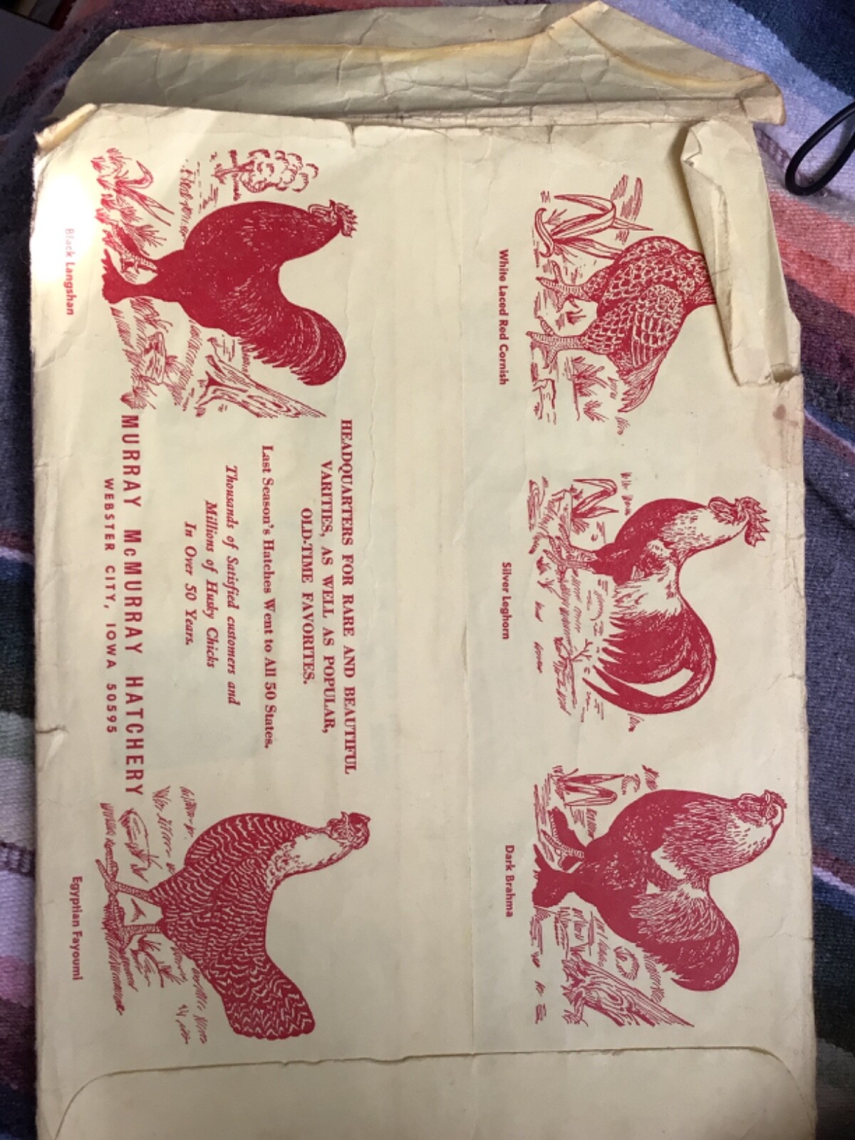 VTG 1970 RARE Chicks Color CATALOG/Guide~”MURRAY McMURRAY HATCHERY”~Iowa~(J)