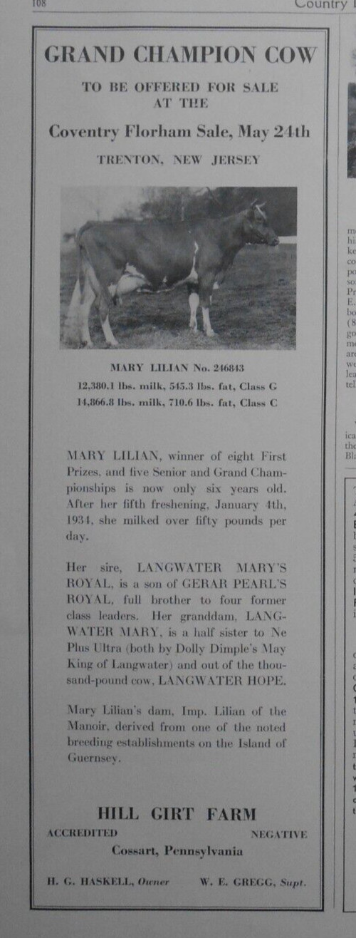 1934 Hill Girt Farm Cossart PA Grand Champion Cow Mary Lillian AD for sale Horse