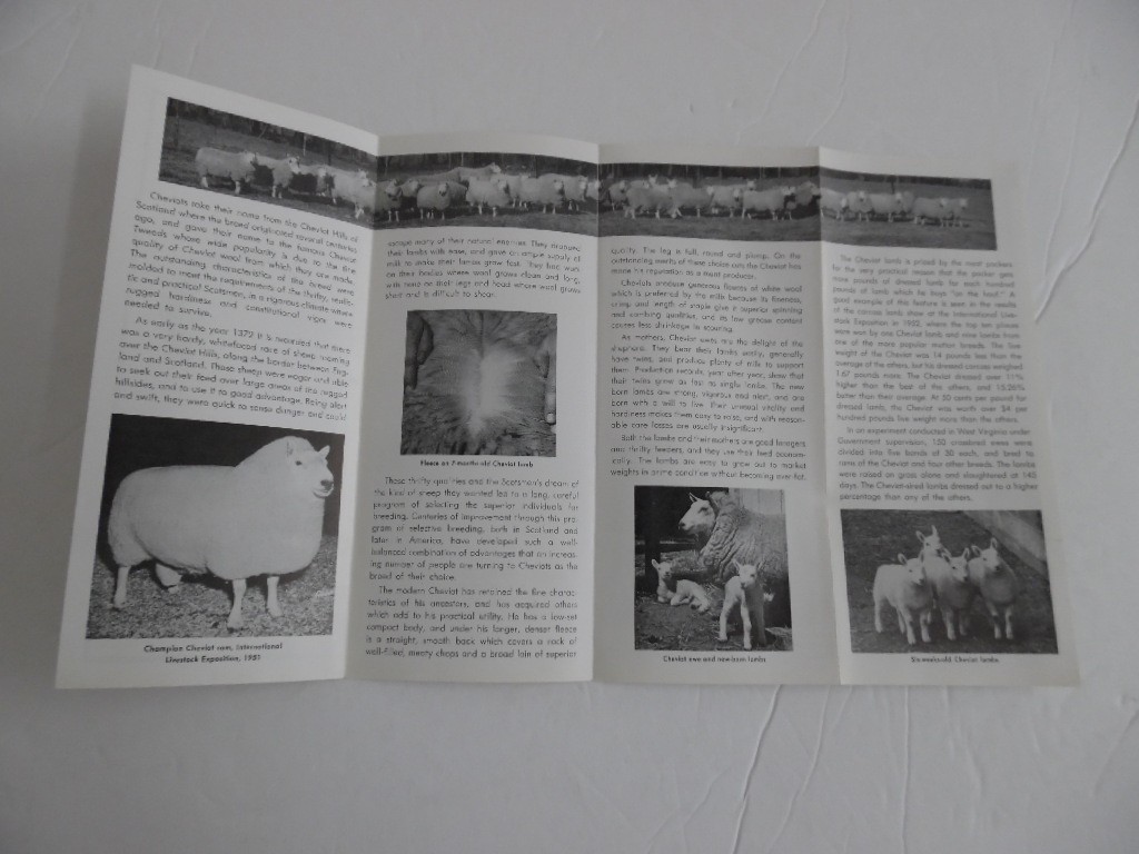 c.1952 American Cheviot Sheep Society Breed Brochure Livestock Vintage MINT RARE