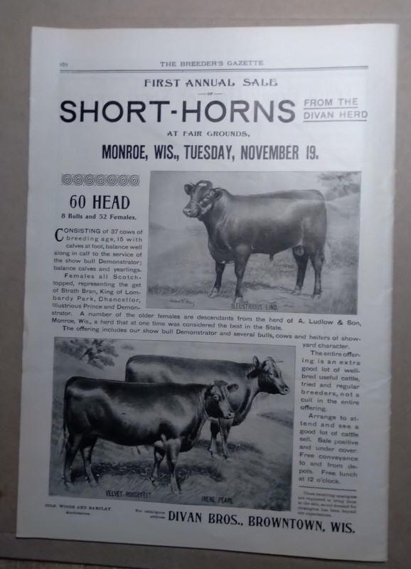 Nov 13, 1901 Breeder’s Gazette Weekly Union Stock Yards Intl Exposition Chicago