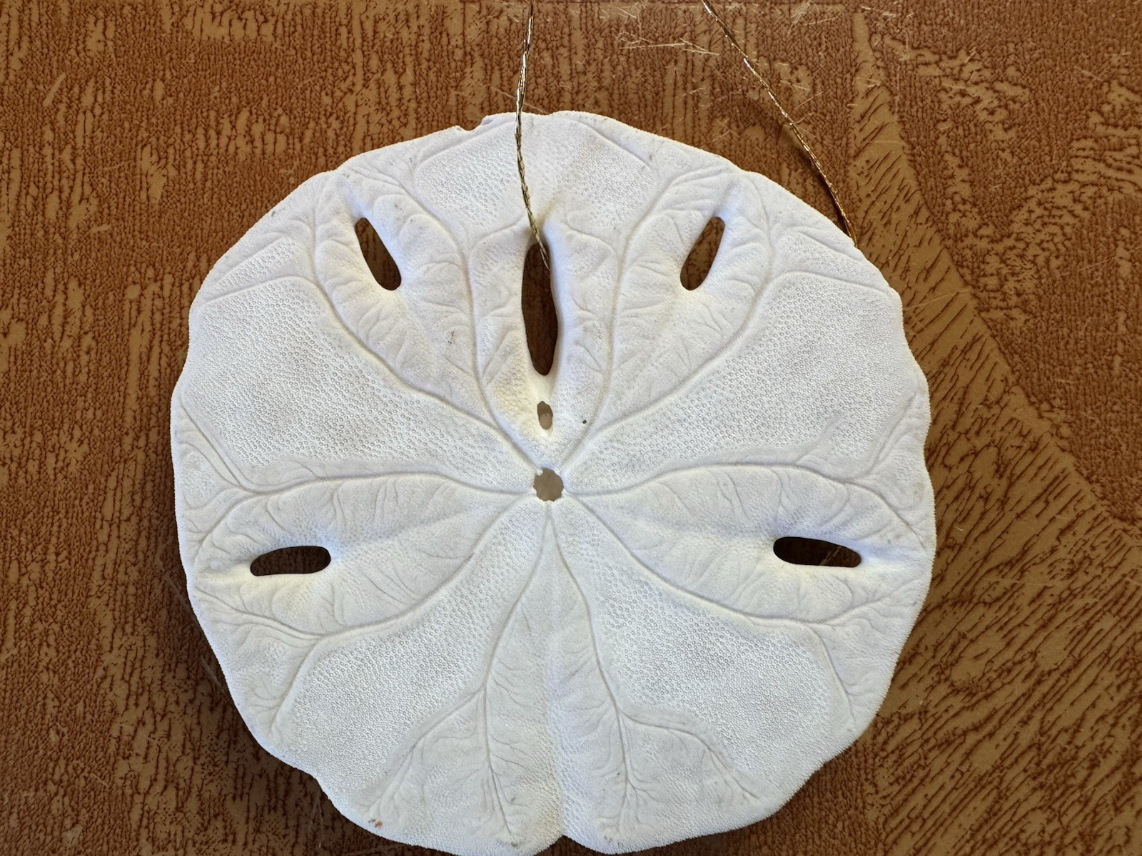 Painted 3″ Sand Dollar~Rock Island, Illinois~Pottawatomi Light House~435