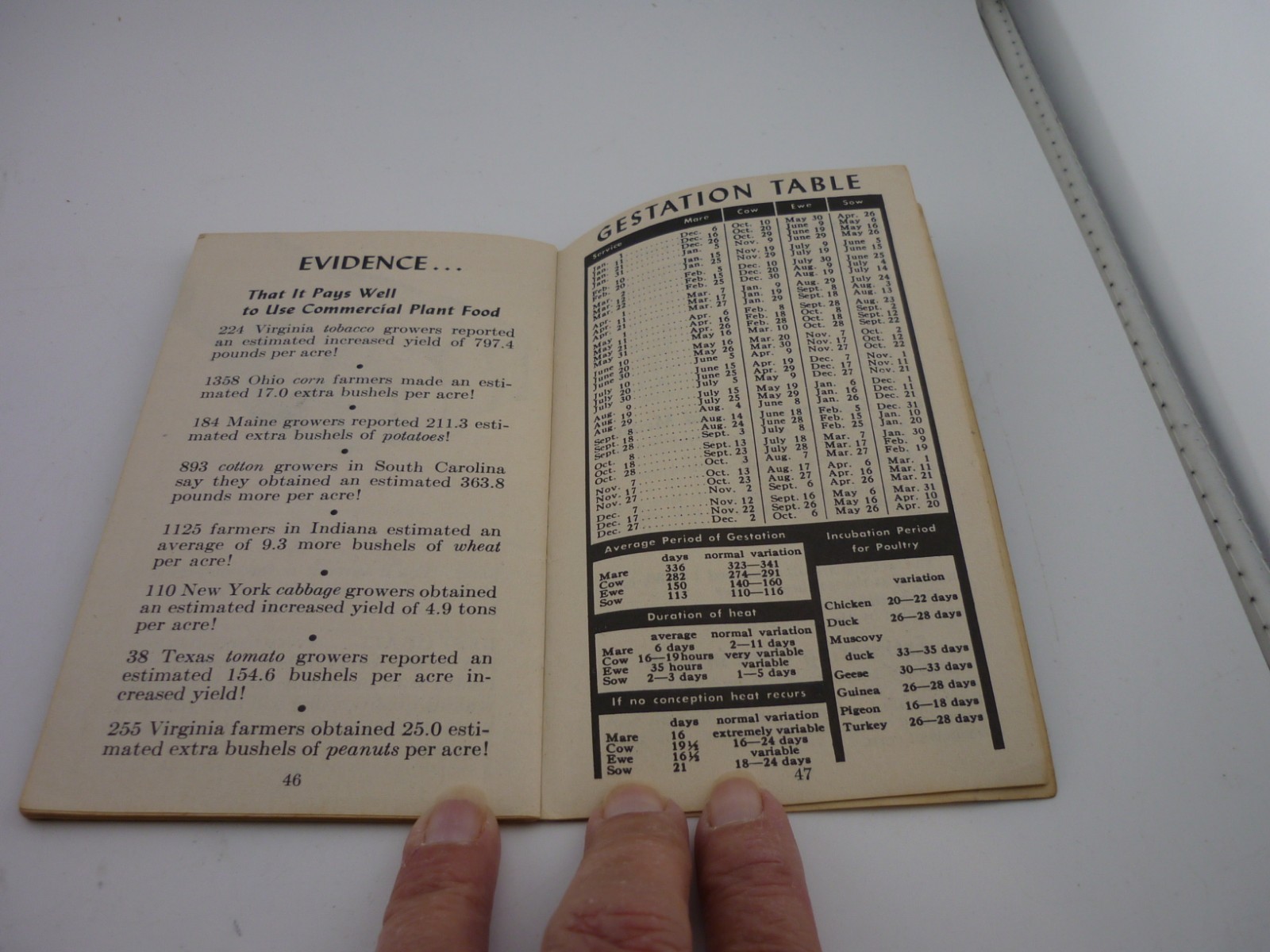1955 Swift’s Red Steer Memo Book Farm Advertising Fertilizer Calendar