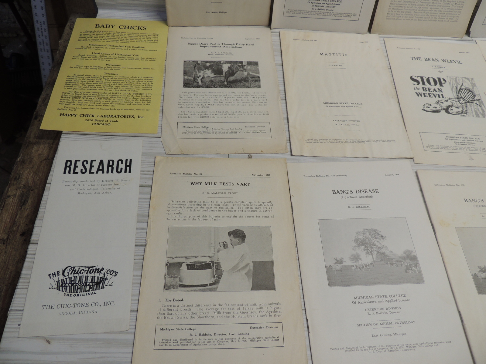 Lg Lot of Michigan State & USDA Bulletins 1920s-1930’s Plus Happy Chick Brochure