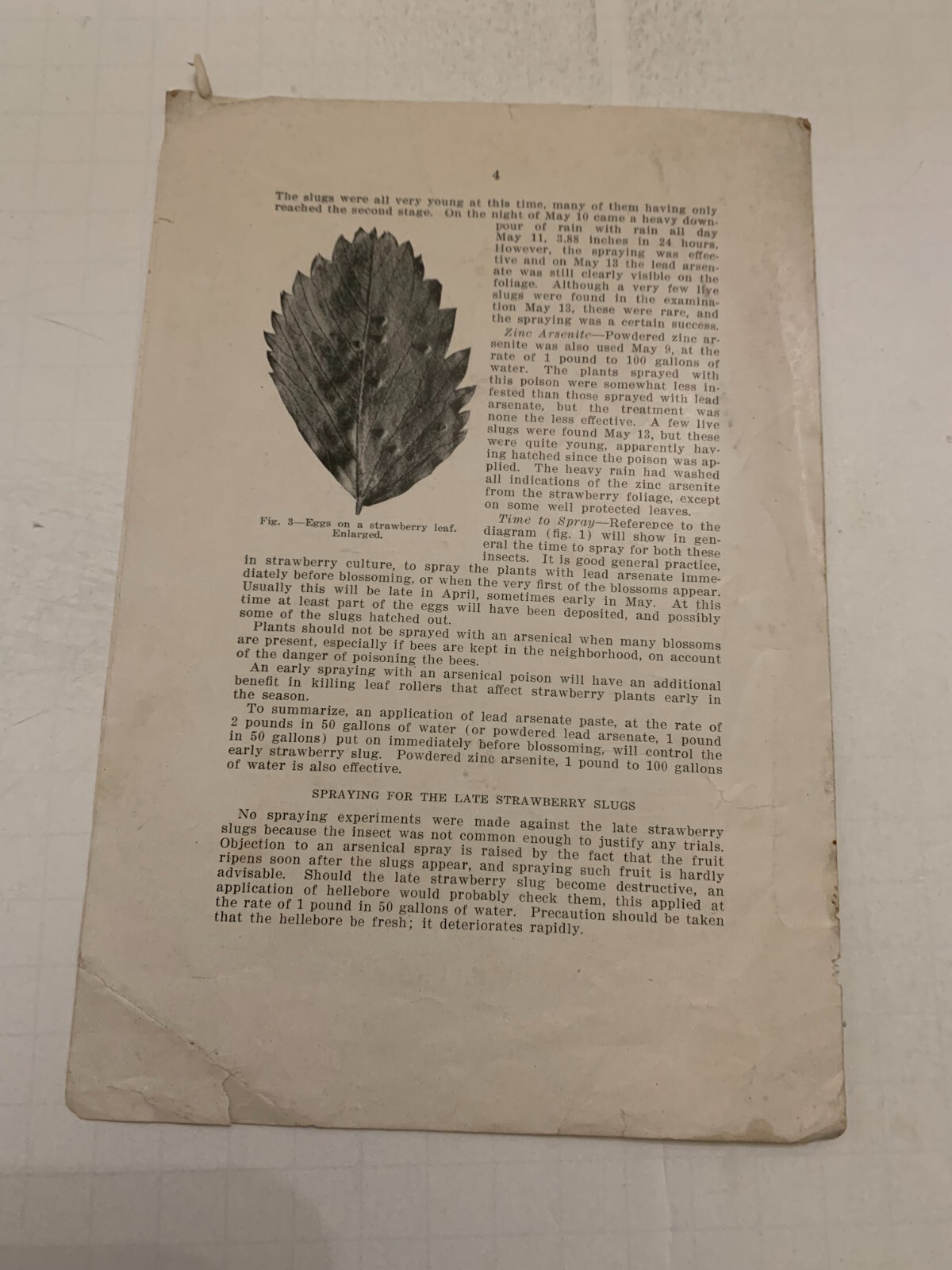 1915 Two Strawberry Slugs Booklet by Iowa State College Agriculture