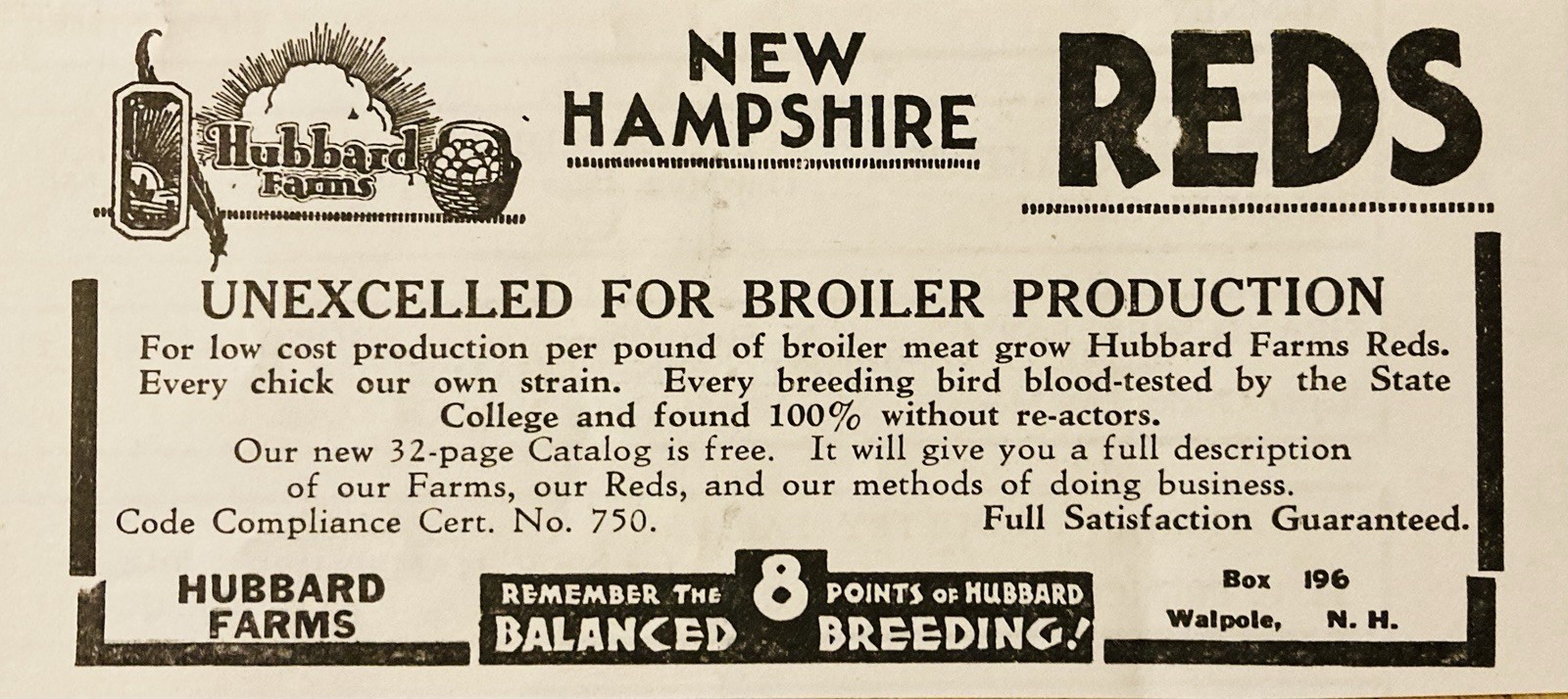 1934 AD.(XH82)~HUBBARD FARMS, WALPOLE, NH. NEW HAMPSHIRE REDS BROILERS