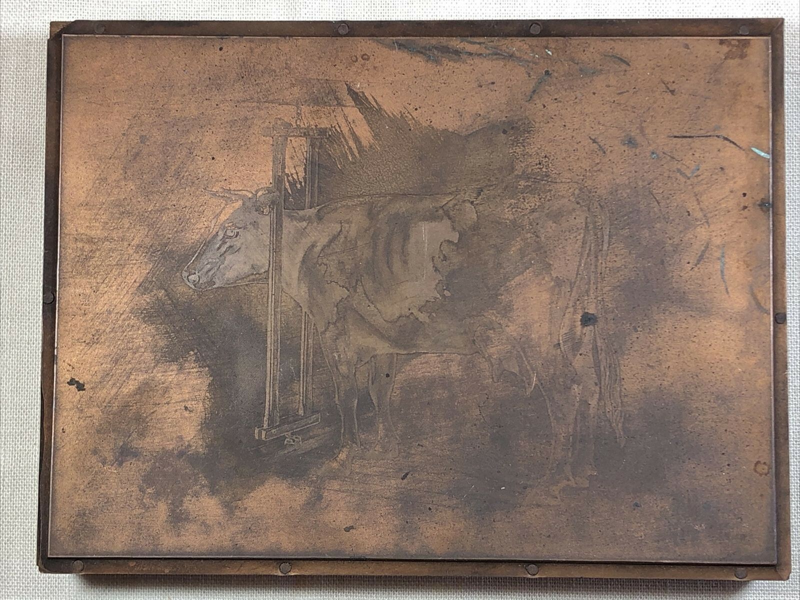 Rare Antique Robertson’s Forestville CT Stanchion Cow Copper Plate for BOOKLET