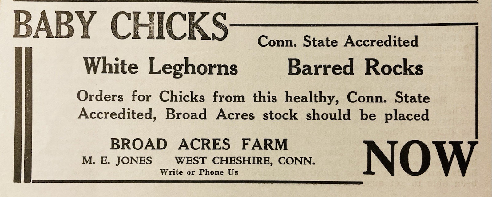1934 AD.(XH82)~BROAD ACRES FARM, WEST CHESHIRE, CONN. BABY CHICKS & BARRED ROCKS