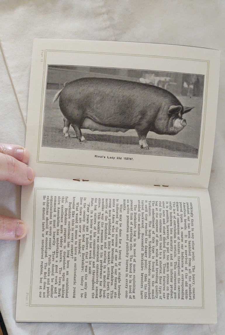 3 Vtg Antique Booklets Farm farming Hogs Pigs , Berkshire / Dundee ,NY Morris