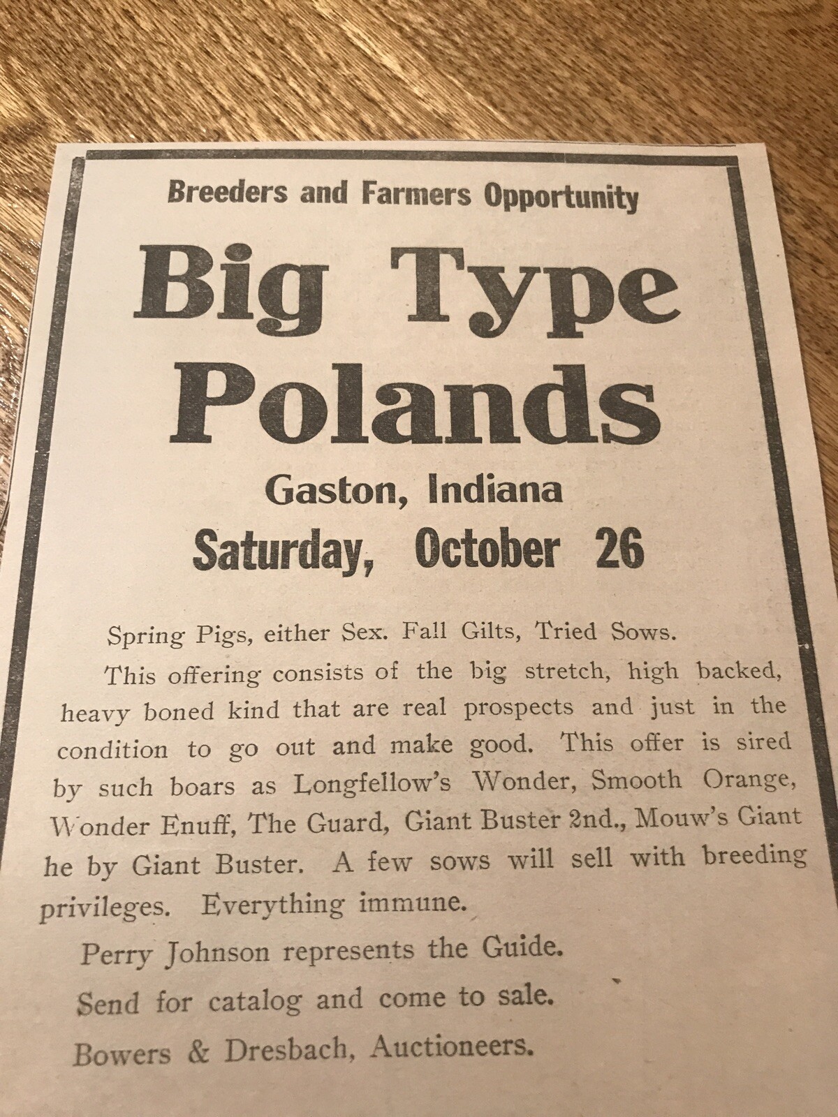 ORIGINAL 1918 Sow Public Sale – Gaston – Indiana – Farm Advertising – Hog Pig