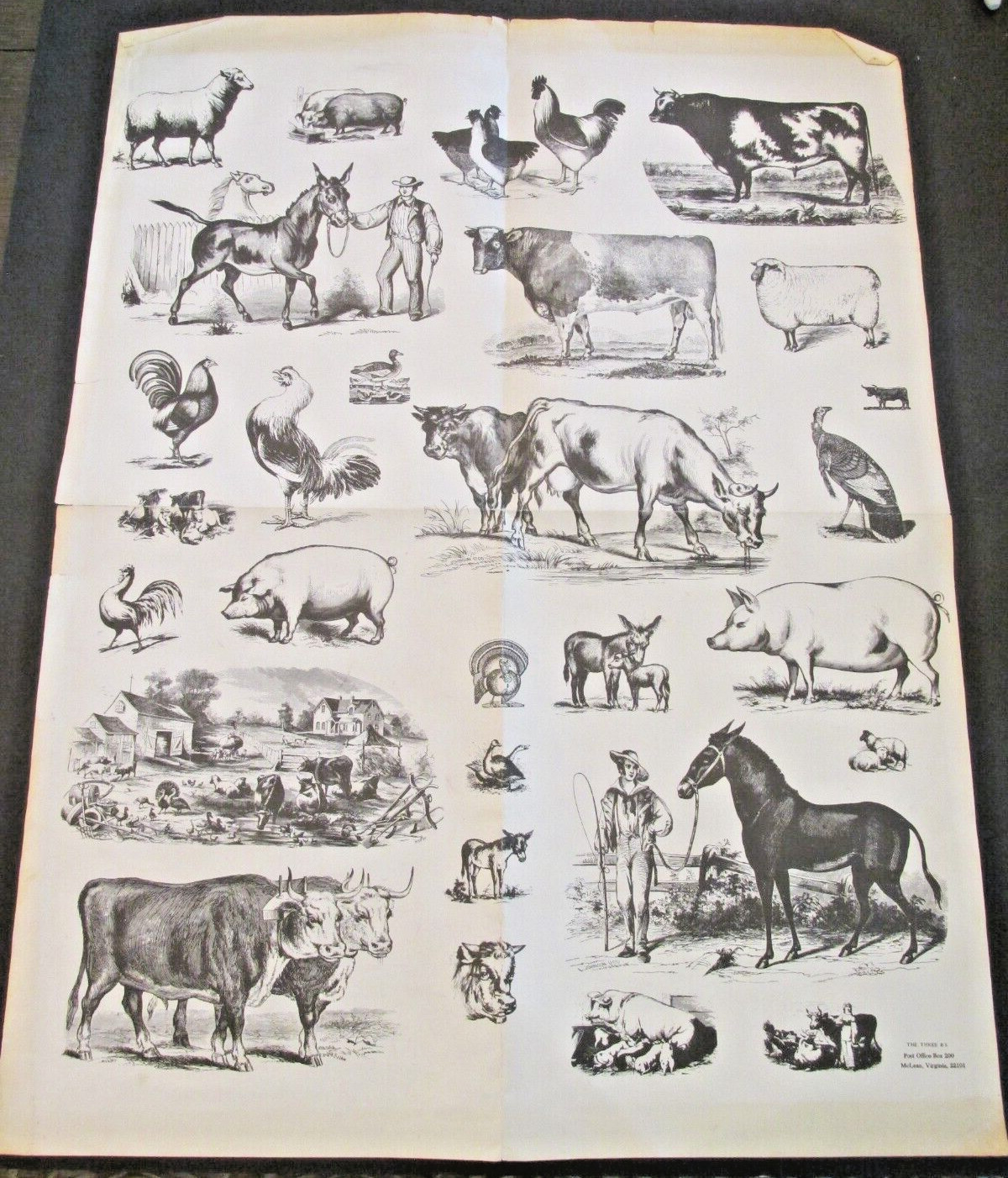 VTG The Three B’s Farm Animals Poster Rooster Donkey Horse Pigs Homestead 19×25
