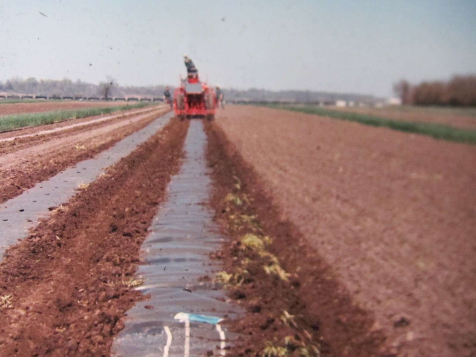 6 PHOTO SLIDES FARM VEGETABLE CROPS MACHINE CELLUPONIC SYSTEM MULCHING 1970’S