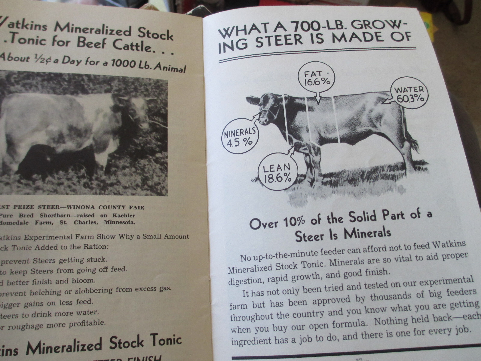 1930’S J.R. WATKINS DEPENDABLE STOCK & POULTRY PREPARATIONS BOOKLET GUIDE FARM