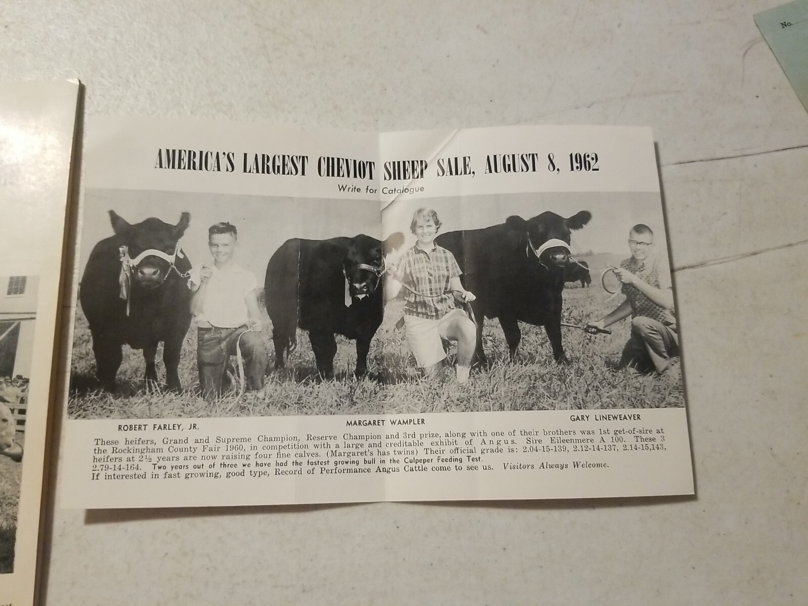 Vintage 1962 Wampler’s Cheviot Sheep Sale Catalog & Flyer. Harrisonburg, VA