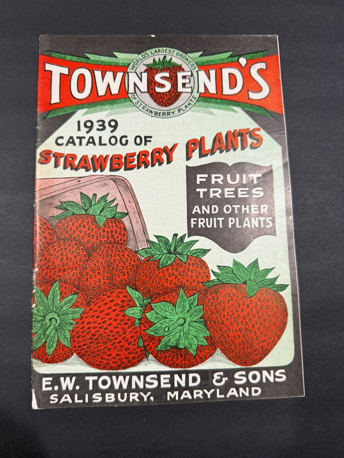 1934-39 Townsend’s & South Michigan Fruit, Flowers, Seed Brochures…..2 Items