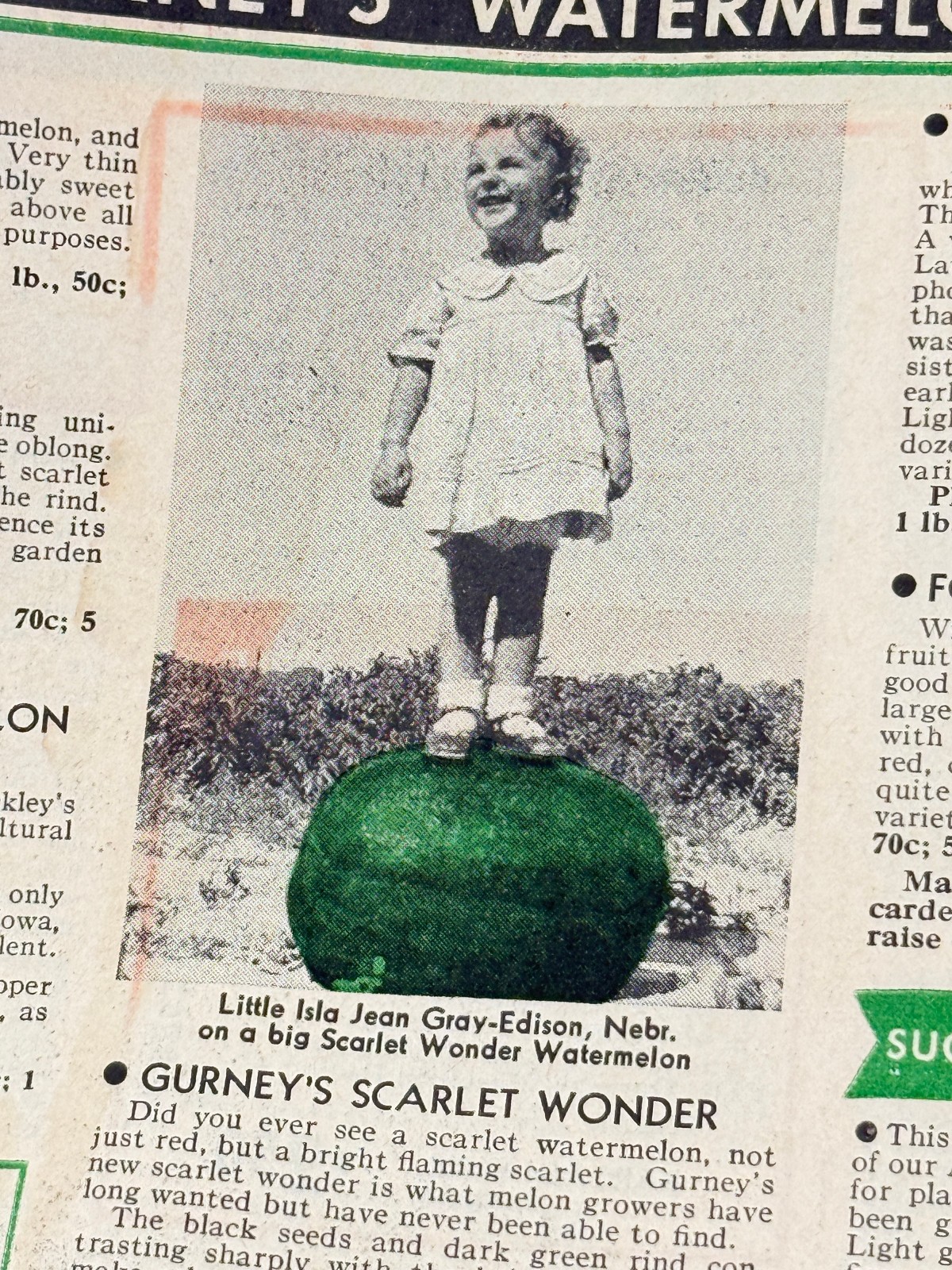 1937 House of Gurney Advertising Catalog Yankton South Dakota SD