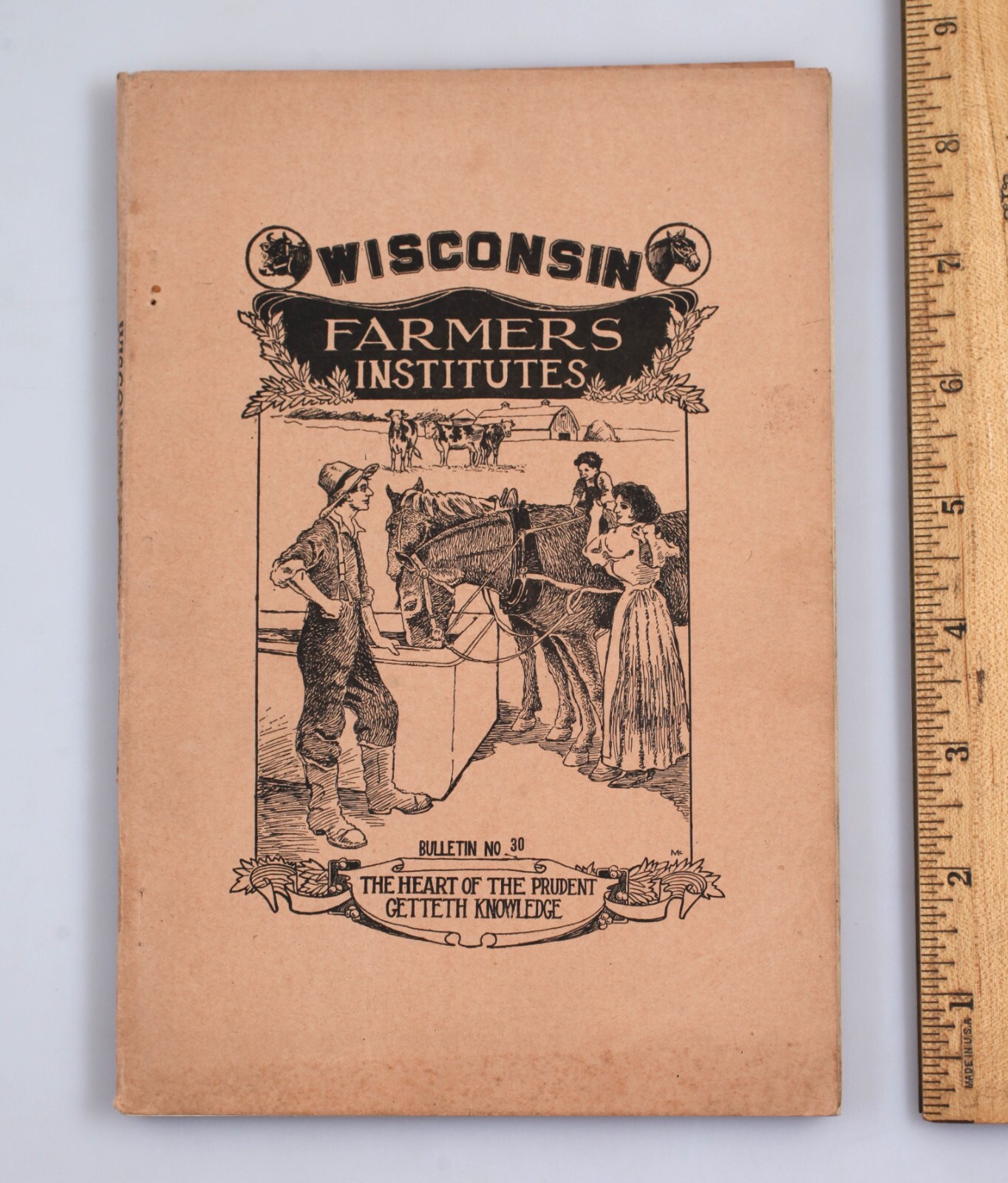 Vintage 1916 Wisconsin Farmer’s Institutes Bulletin Handbook of Agriculture