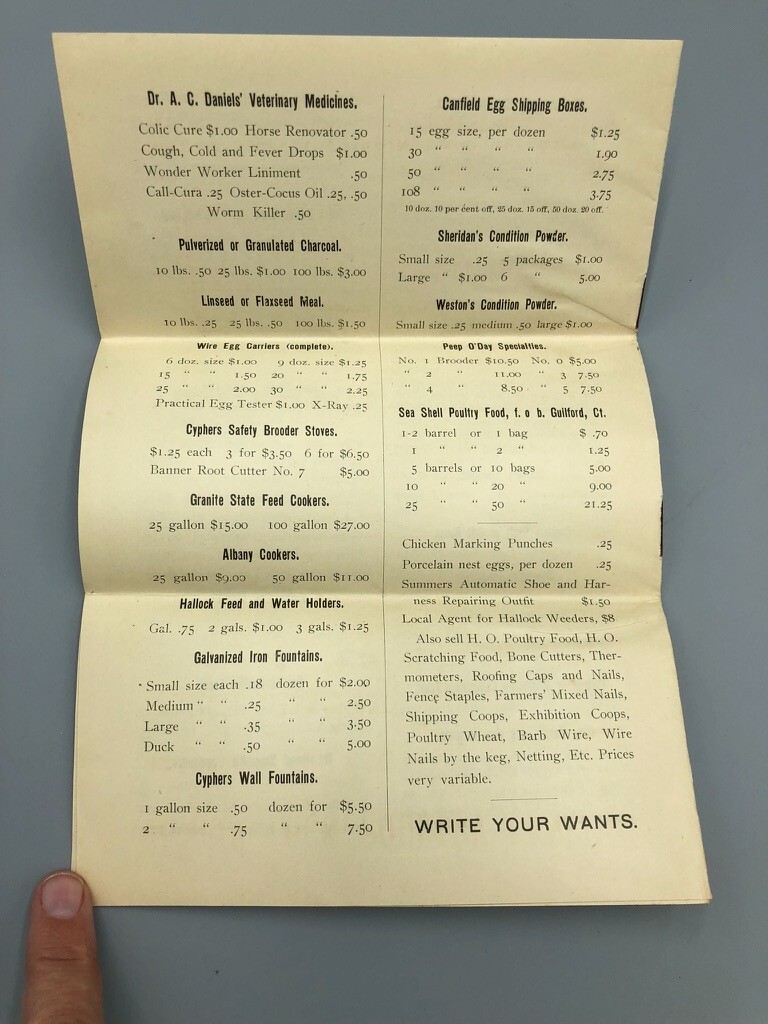 1904 Scantic POULTRY FARM Leghorns CHICKEN RI Red Antique Advertising HAMPDEN MA