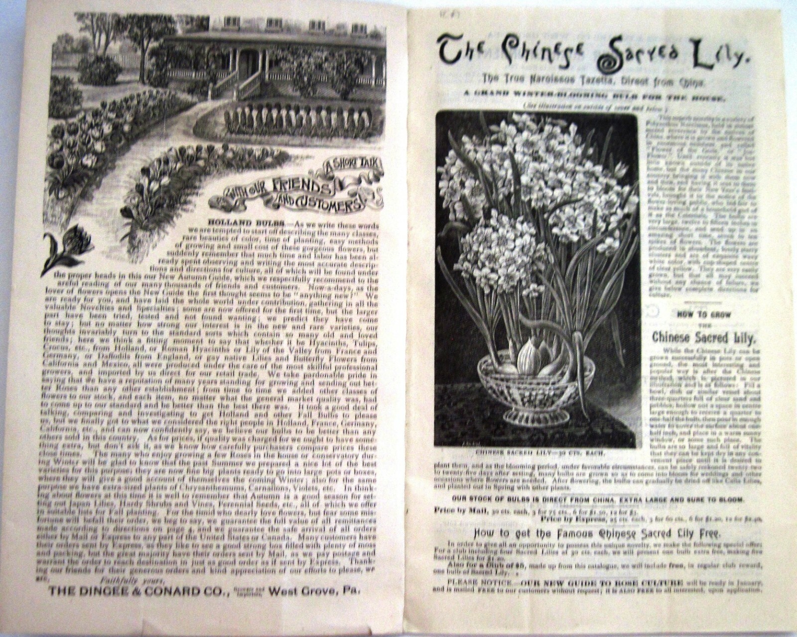 1889 Catalog “New Autumn Guide” for Holland Bulbs, Roses & Lilies & Seeds *
