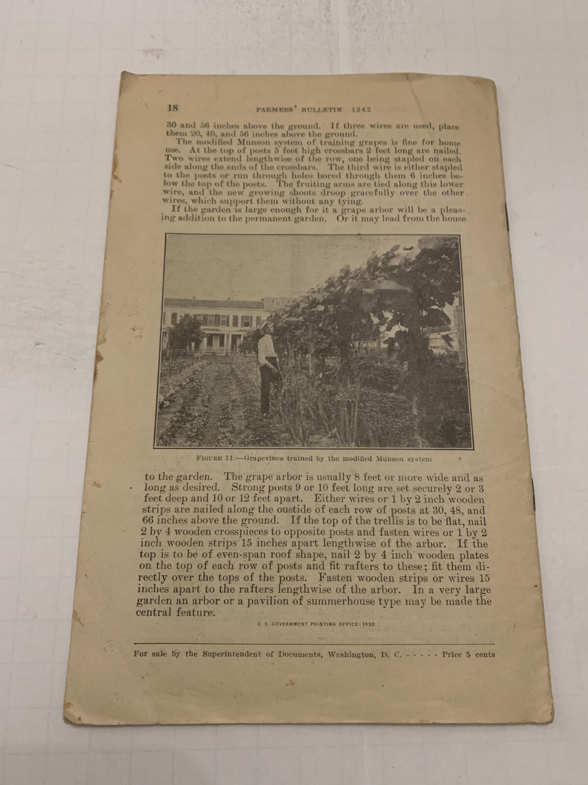 1930 US Department Of Agriculture Bulletin Permanent Fruit and Vegetable Gardens