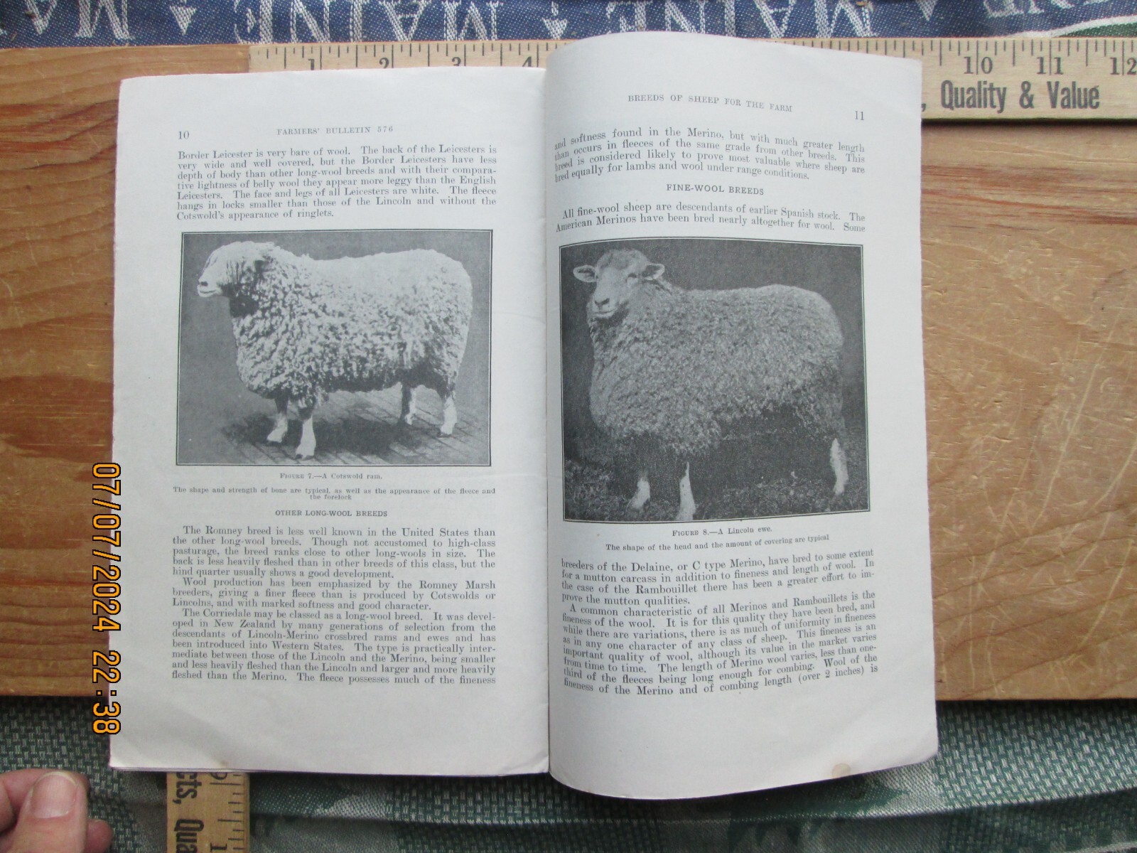 1940 Breeds of sheep for the farm US Department of Agriculture number 576