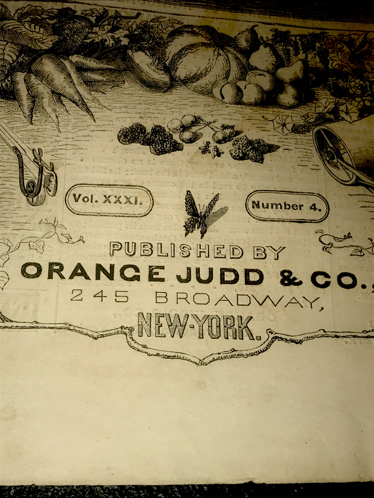 ORIGINAL 1872 Settler Farm Engraving Advertising