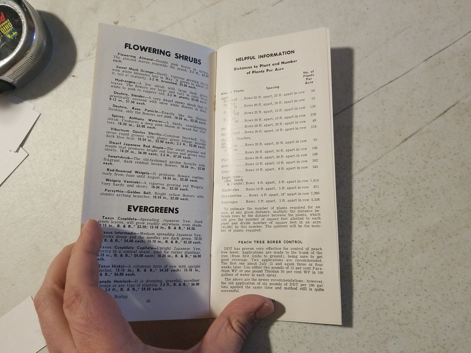Vintage 1967 Worley’s Nurseries Orchard Fruit Trees Brochure. York Springs,PA