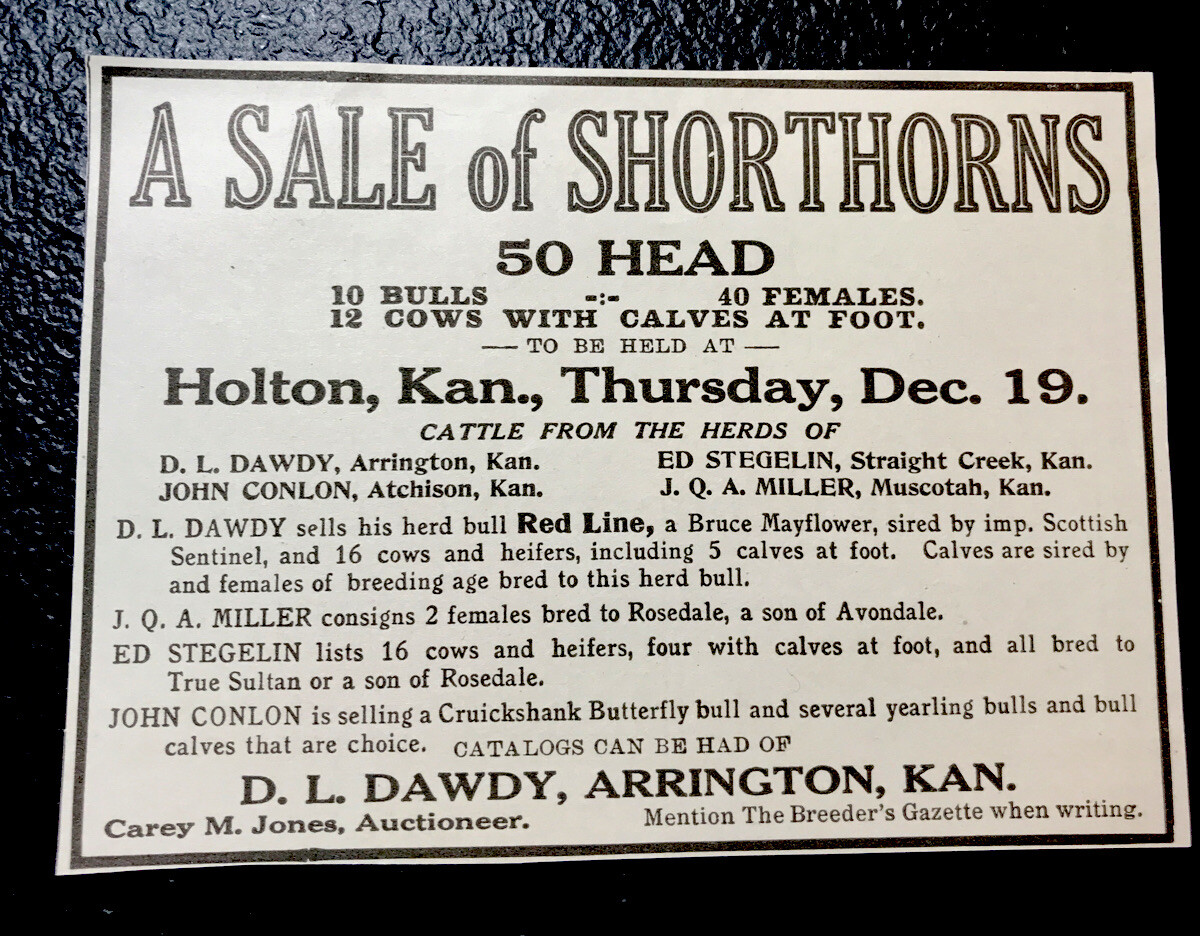 1918 Cattle Livestock Public Sale – Arrington – Kansas – Cow Advertising