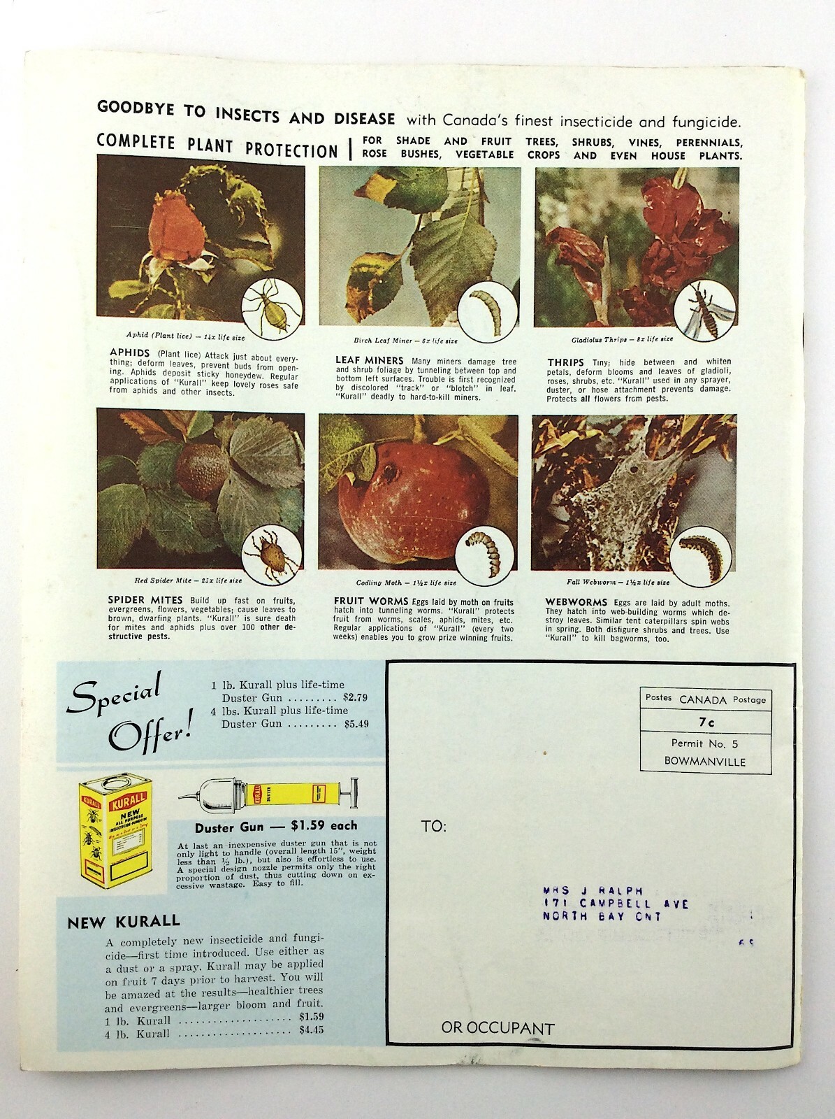 Vintage 1968 Seed Catalog Brookdale Kingsway Limited Bowmanville Ontario Q293